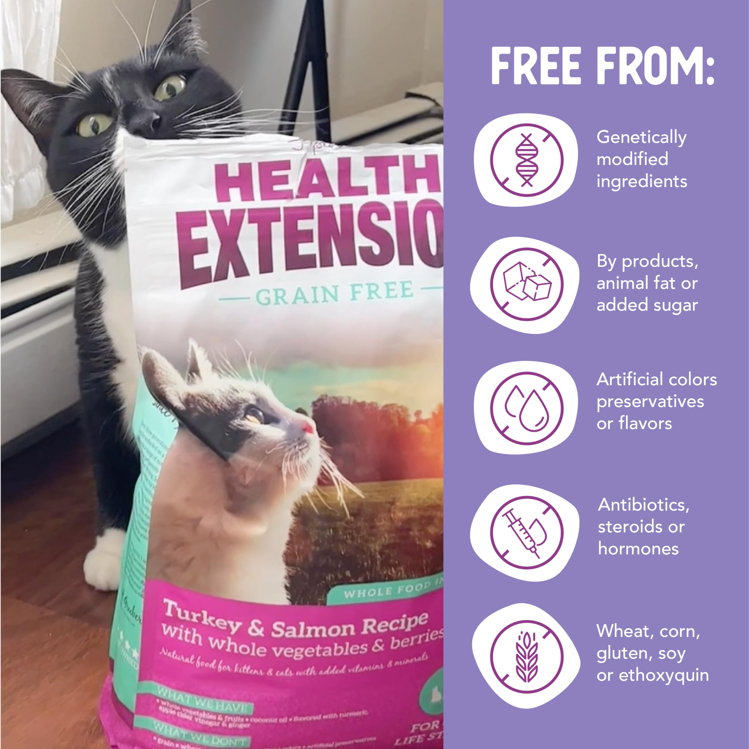 Health Extension Dry Cat Food - 1 Lb  