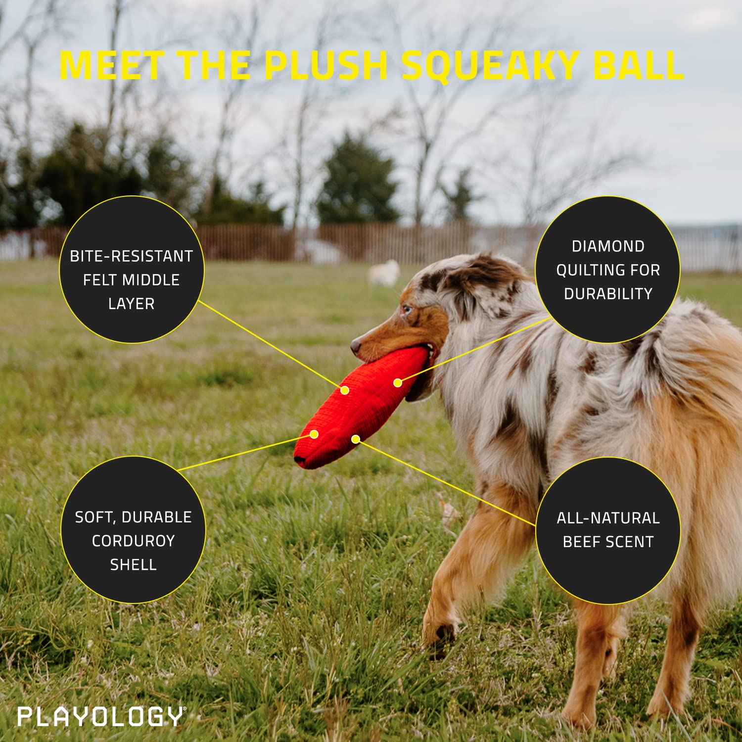 Playology Beef Scented Squeaky Ball Plush and Squeak Dog Toy with Encapsiscent Technology - Red - Medium  