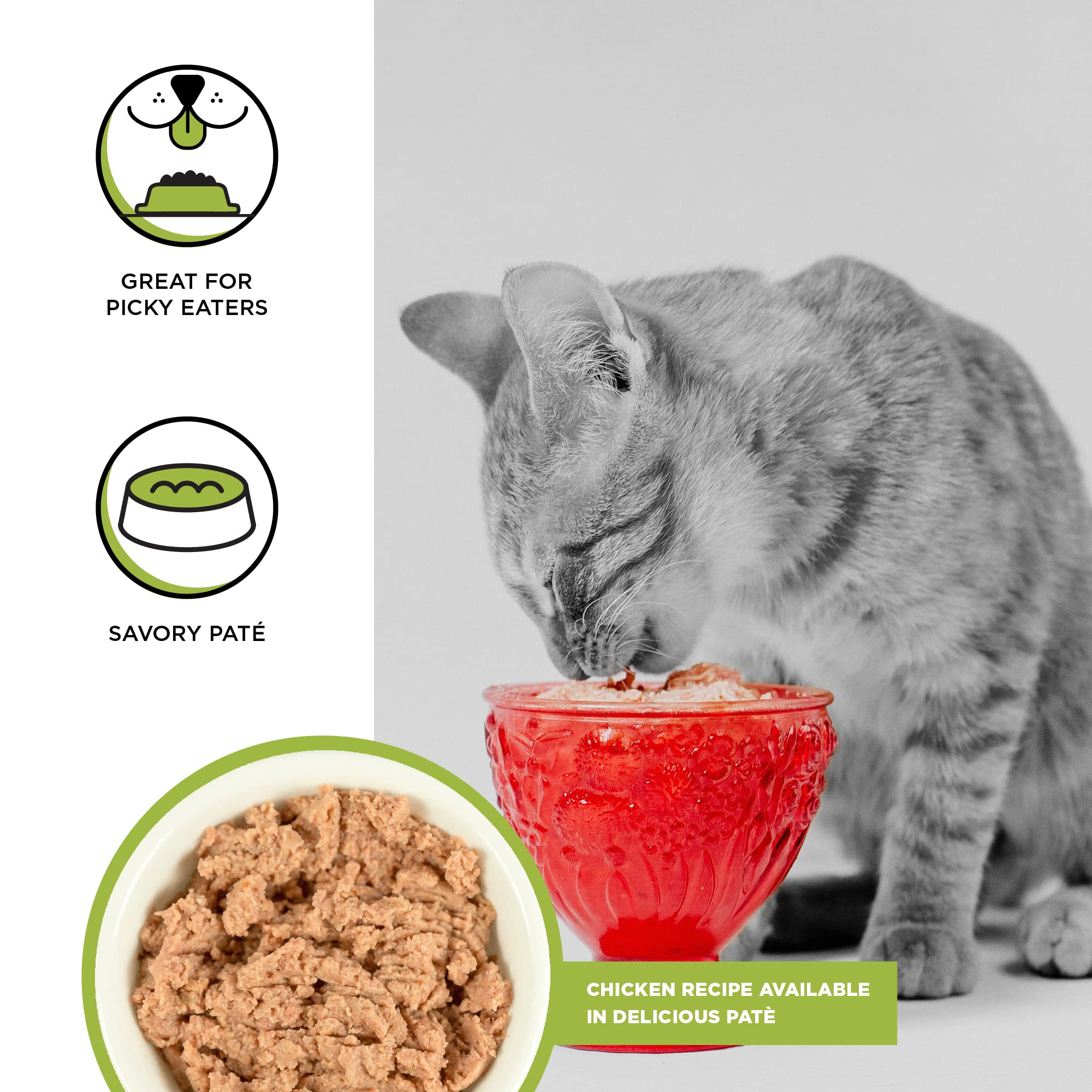 Bixbi Rawbble Chicken Pate Kitten Canned Cat Food - 5 Oz - Case of 24  