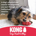 Kong Stuff-a-Ball Teeth Cleaning Treat Stuffing Rubber Dog Toy - Small  