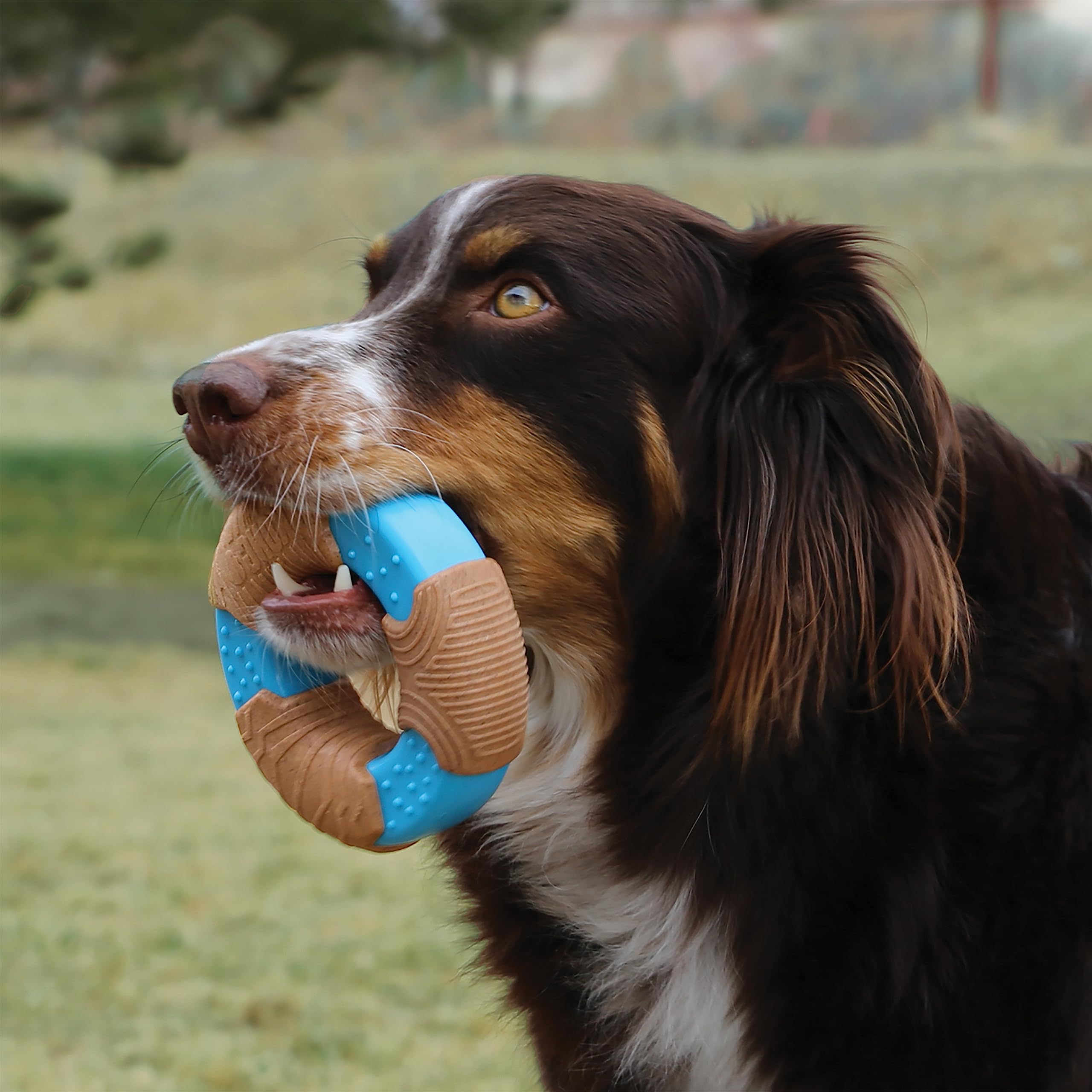 Kong CoreStrength Bamboo Infused Real Wood Ring Dog Toy - Small  