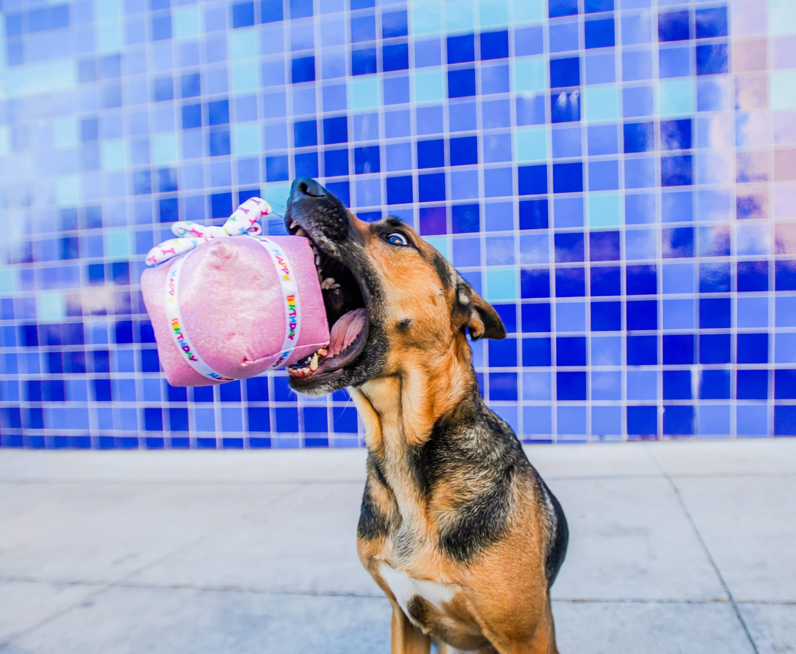 Multipet Birthday Present Crinkle and Squeak Dog Toy - Pink - 5.5