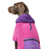 Canada Pooch Cool Factor Performance Dog Hoodie