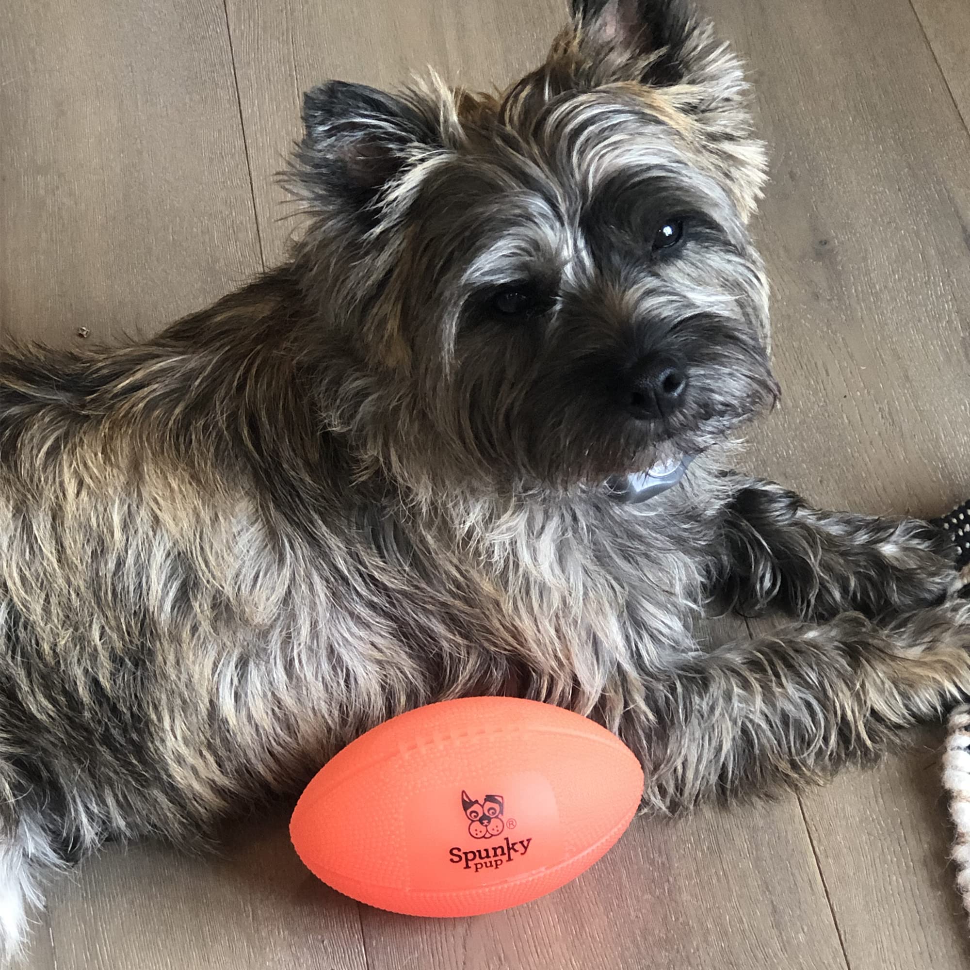 Spunky Pup Squeak and Glow in The Dark Football Float and Fetch Dog Toy  