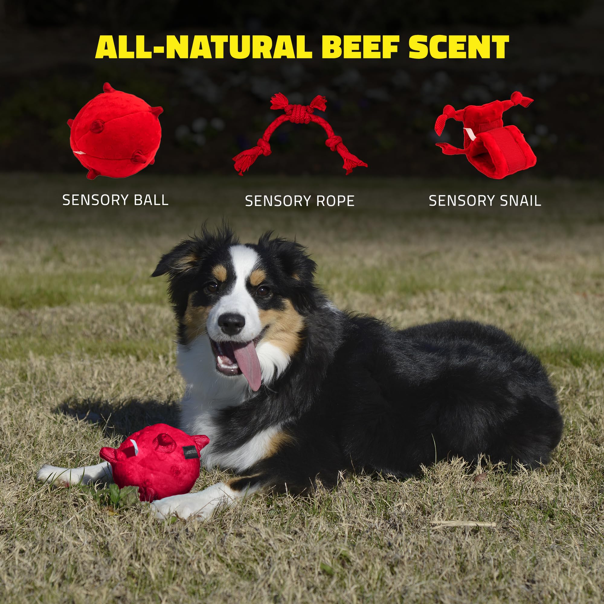 Playology Beef Scented Sensory Ball Squeak and Plush Puppy Dog Toy with Encapsiscent Technology - Small  