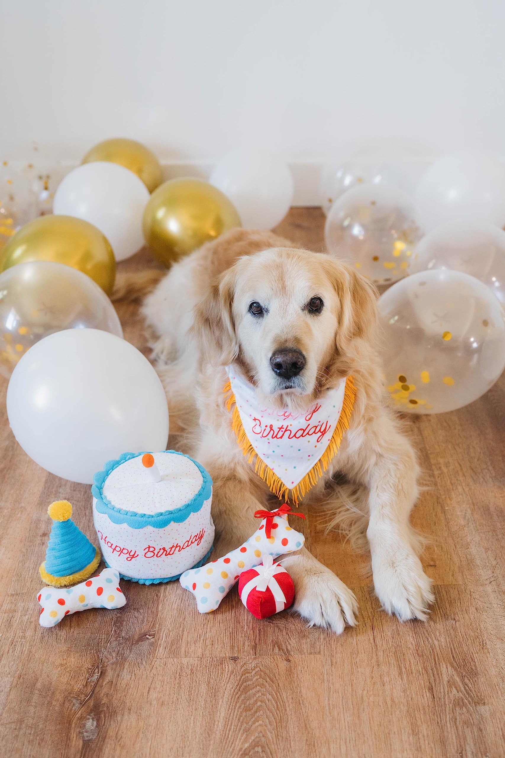 Zippy Paws Birthday Box Display Plush Dog Toy Set - Blue - 3 Piece  