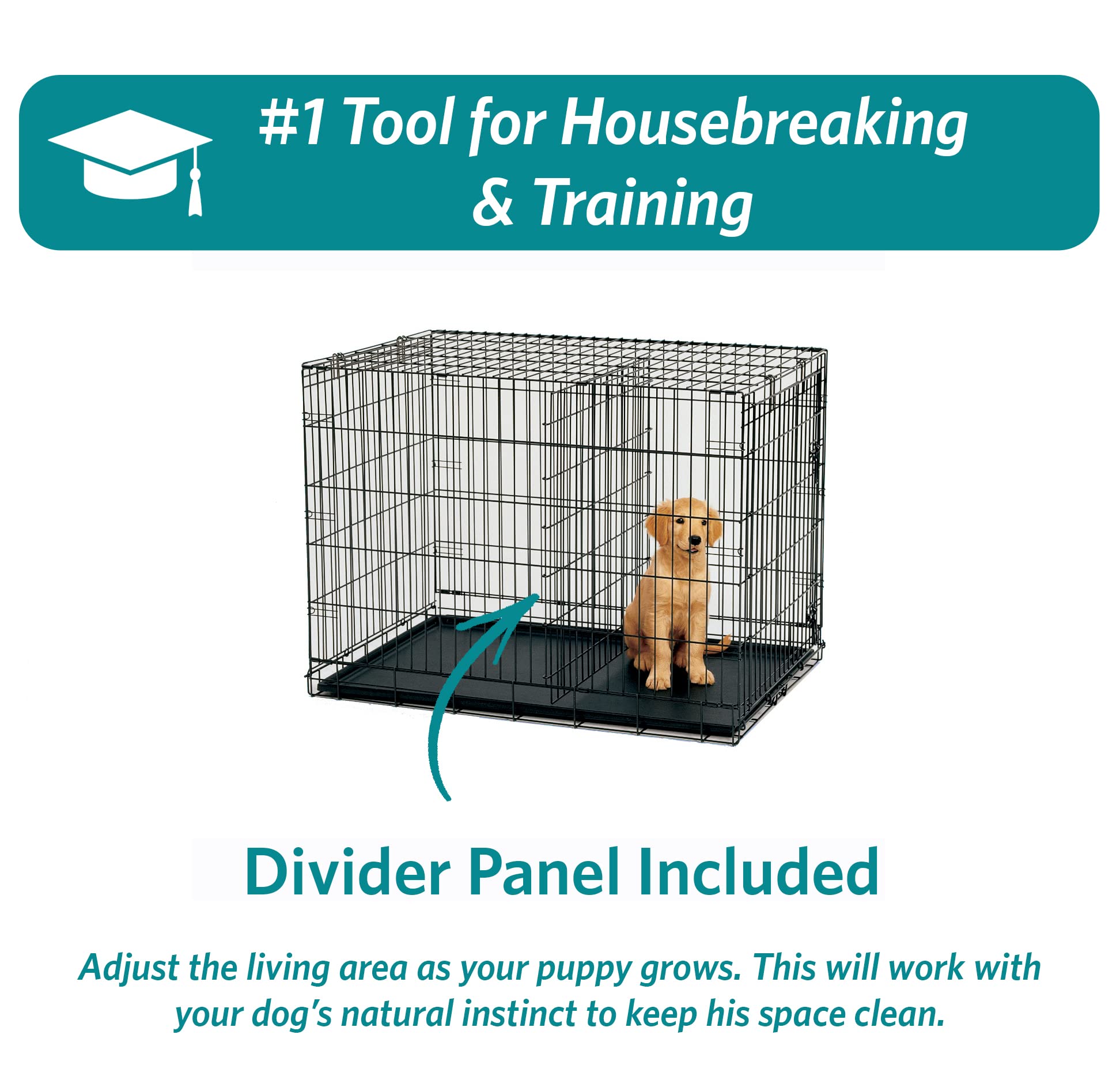 Midwest I-Crate Double Door Metal Folding Dog Crate with Divider Panel - 22" X 13" X 16" Inches  