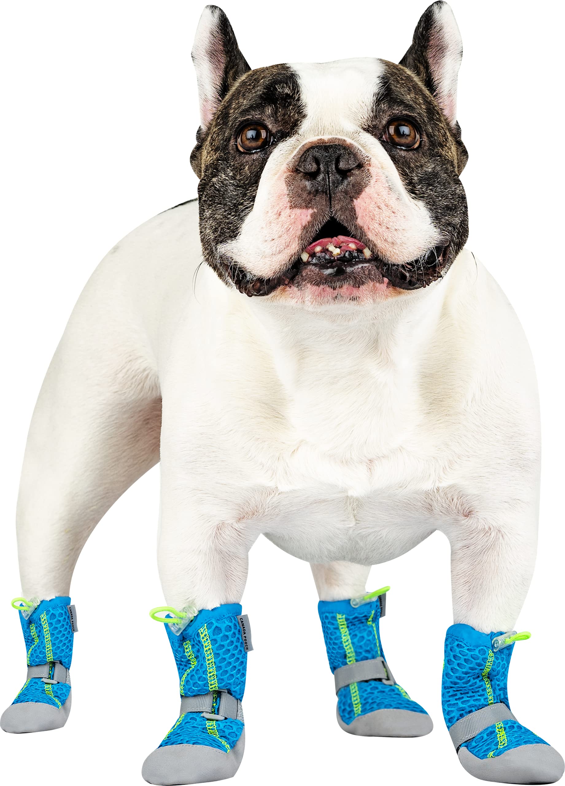 Canada Pooch Hot Pavement Breathable Dog Boots - Blue  - Size 6