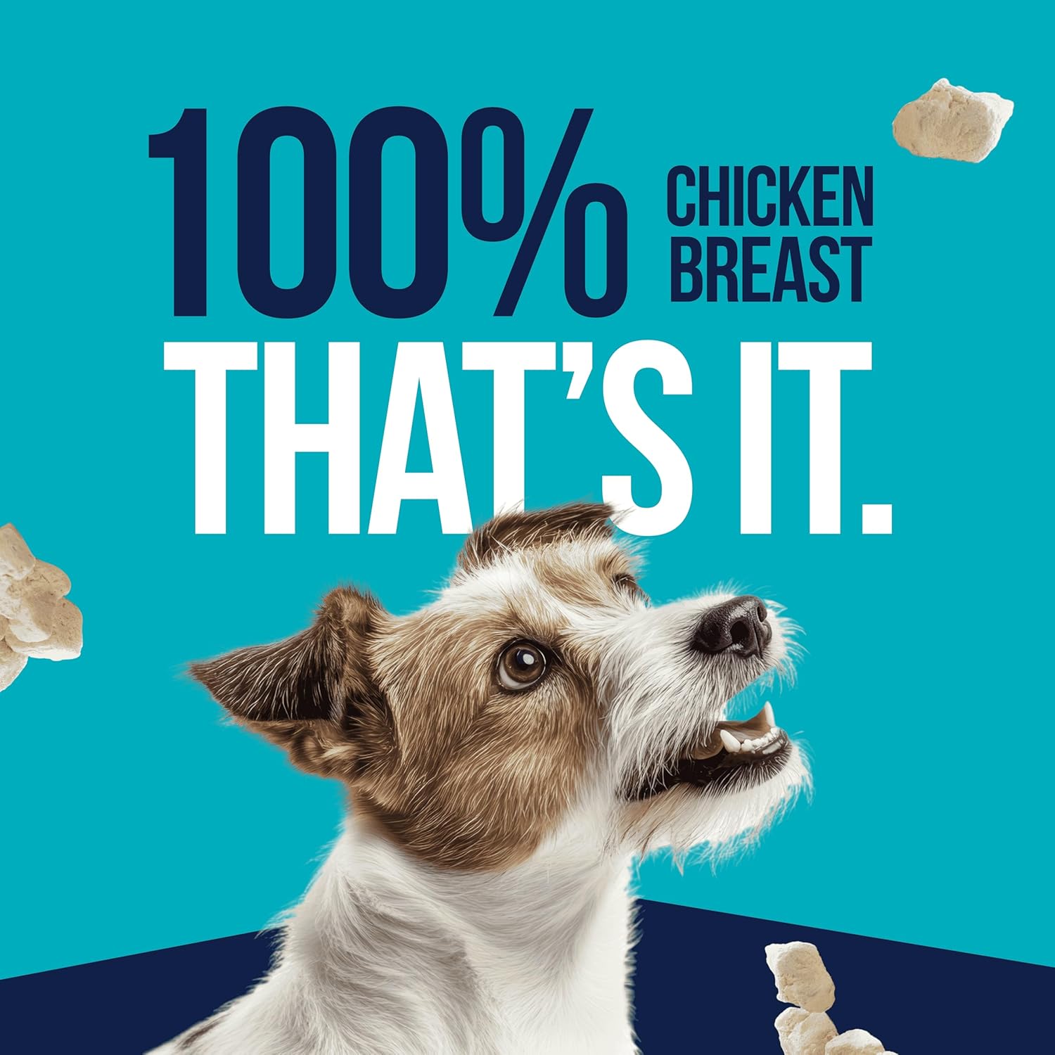 Stewart Single Ingredient High-Protein Chicken Breast Freeze-Dried Dog Treats or Food Topper - 2.75 Oz
