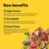 Animals Like Us RawMix50 Grass-Fed Lamb Freeze-Dried Raw Dog Food