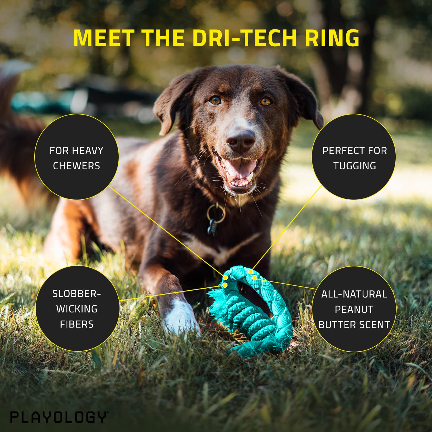 Playology Peanut Butter Scented Dri-Tech Ring Rope Dog Toy with Encapsiscent Technology - Large  