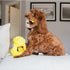 Outward Hound Hide-a-Bee Interactive Plush Dog Toy - Yellow  