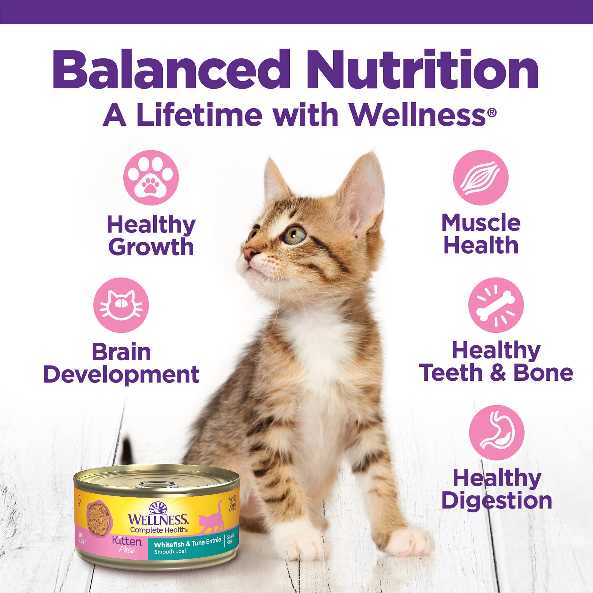 Wellness Complete Health Whitefish and Tuna Pate Entrée Kitten Formula Canned Cat Food - 5.5 Oz - Case of 24  