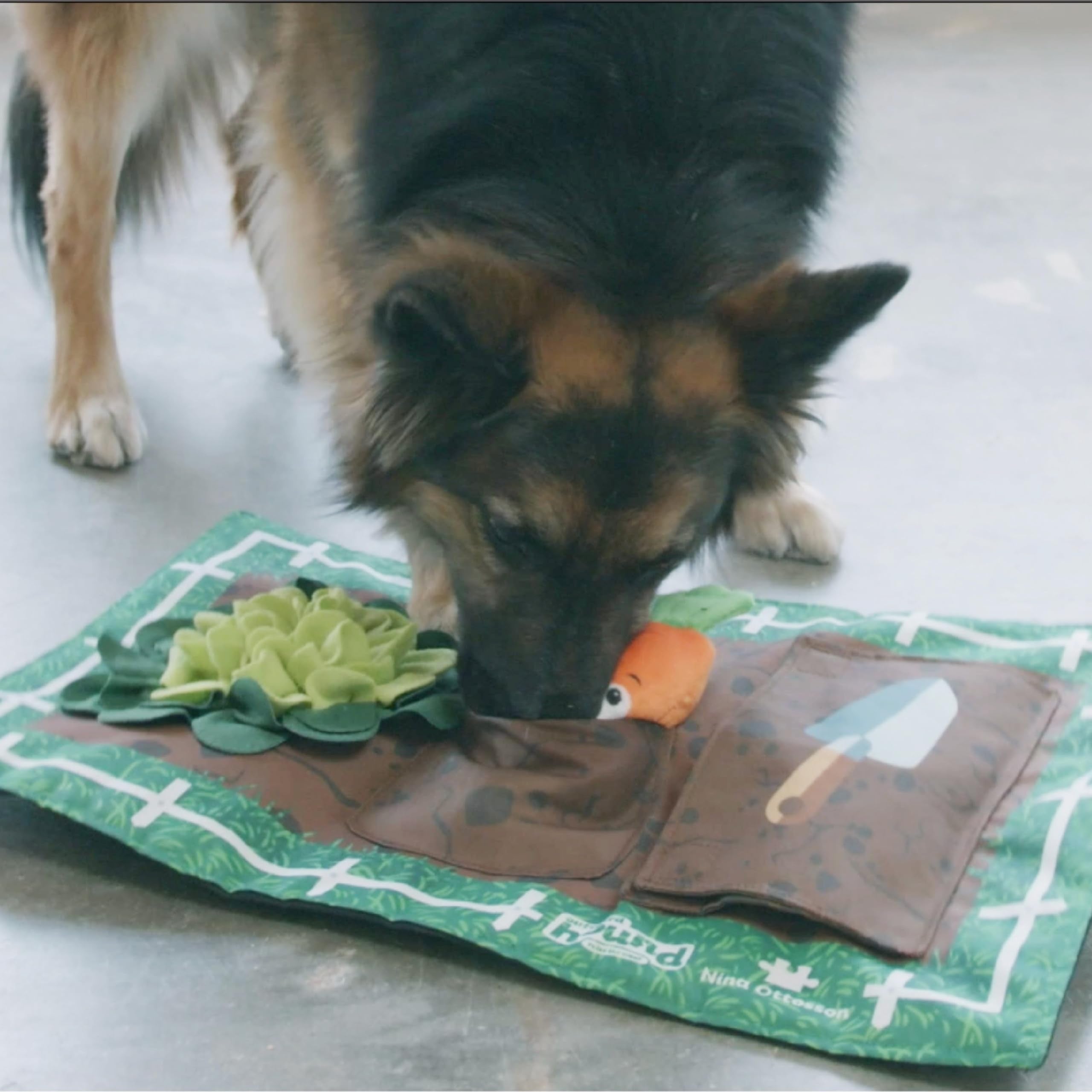 Outward Hound Activity Matz Food Food Slow-Feeding Dog Puzzle Mat  