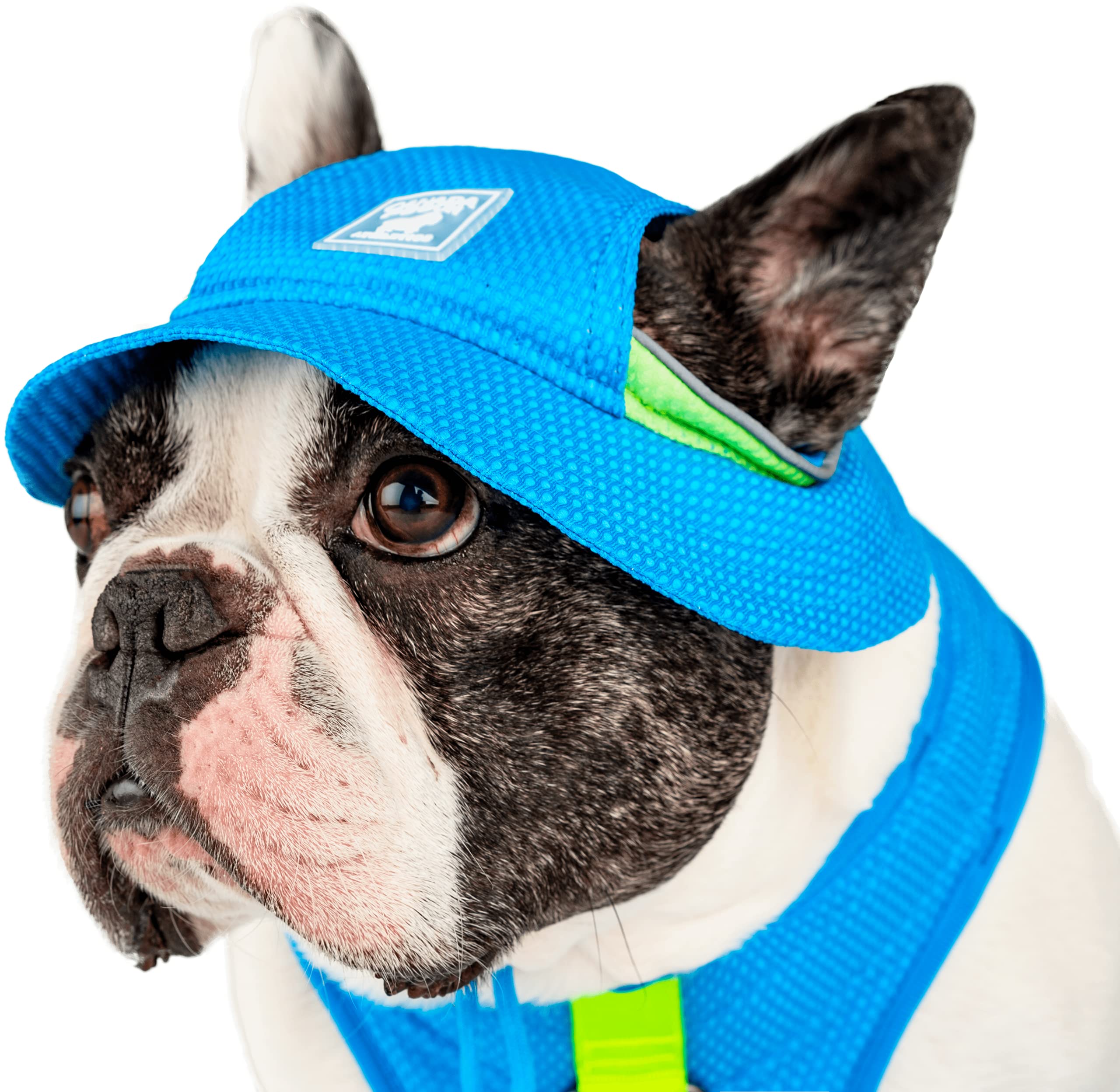 Canada Pooch Cooling Bucket Dog Hat - Blue - Extra Large