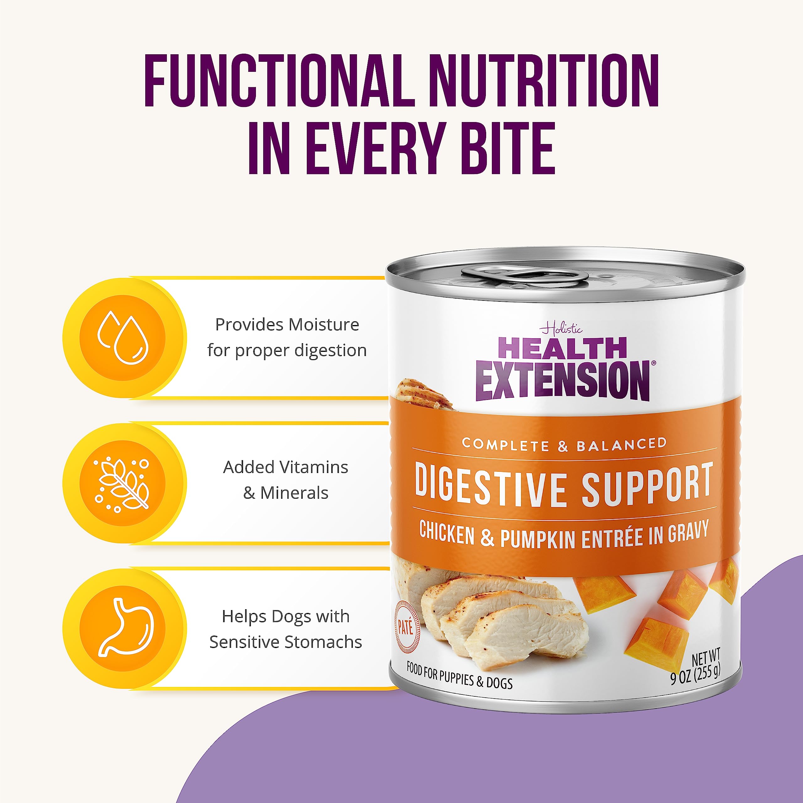 Health Extension Digestive Support Chicken Pumpkin and Gravy Canned Dog Food - 9 Oz - Case of 12  