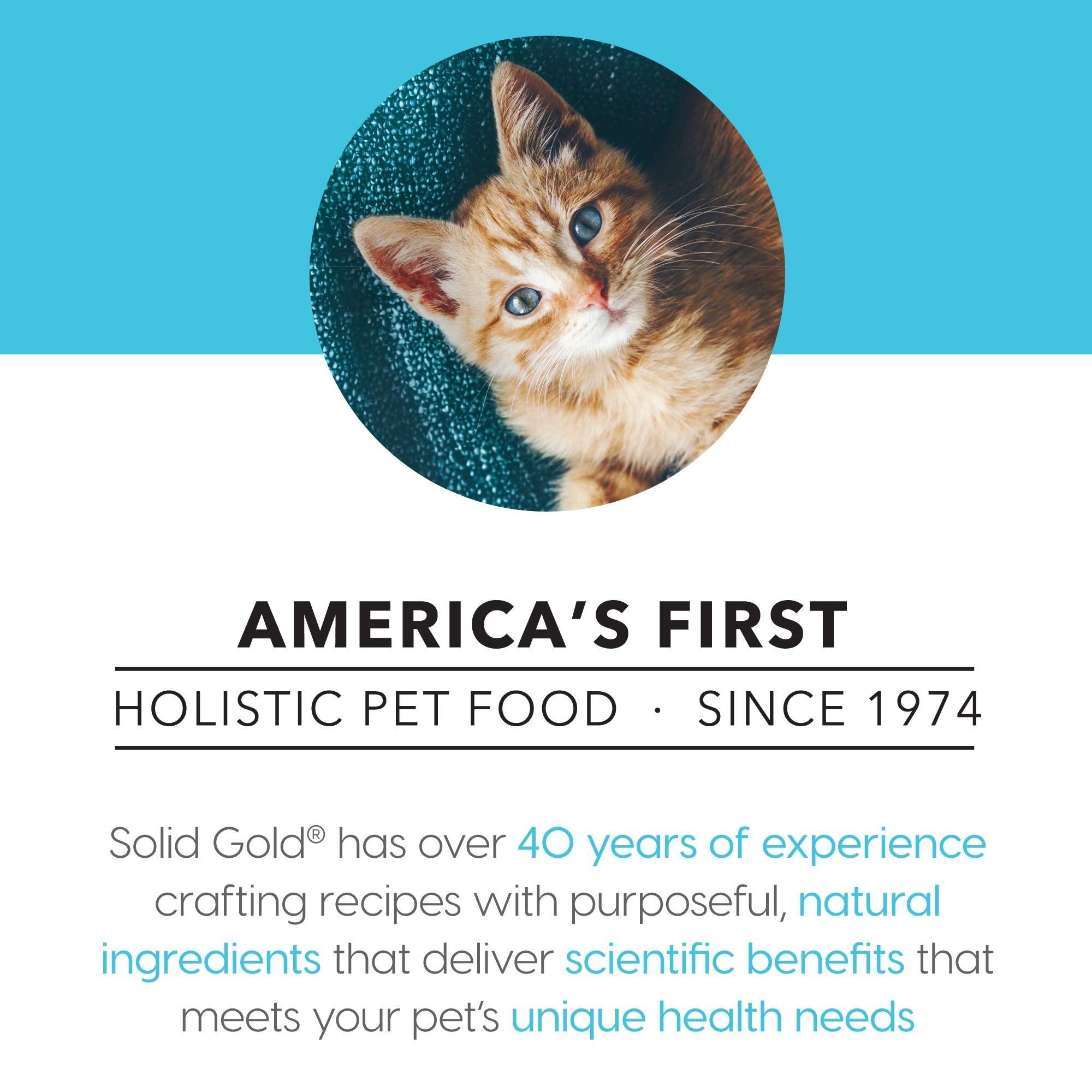 Solid Gold Holistic Delights Grain-Free Creamy Bisque Chicken and Coconut Puree Wet Cat Food Pouch - 3 Oz - Case of 24  