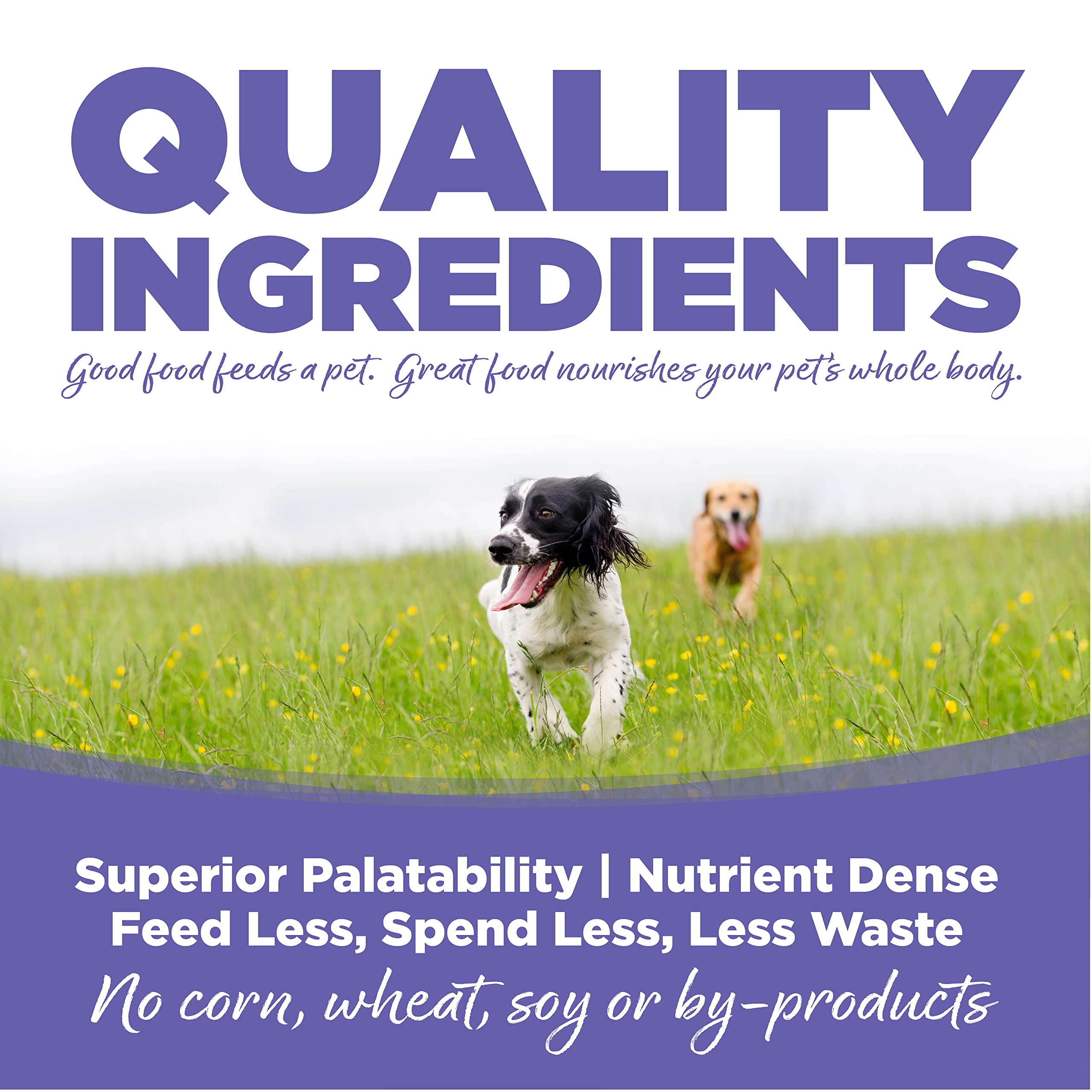 Nutrisource Chicken and Rice Small and Medium-Breed Puppy Dry Dog Food - 40 Lbs  