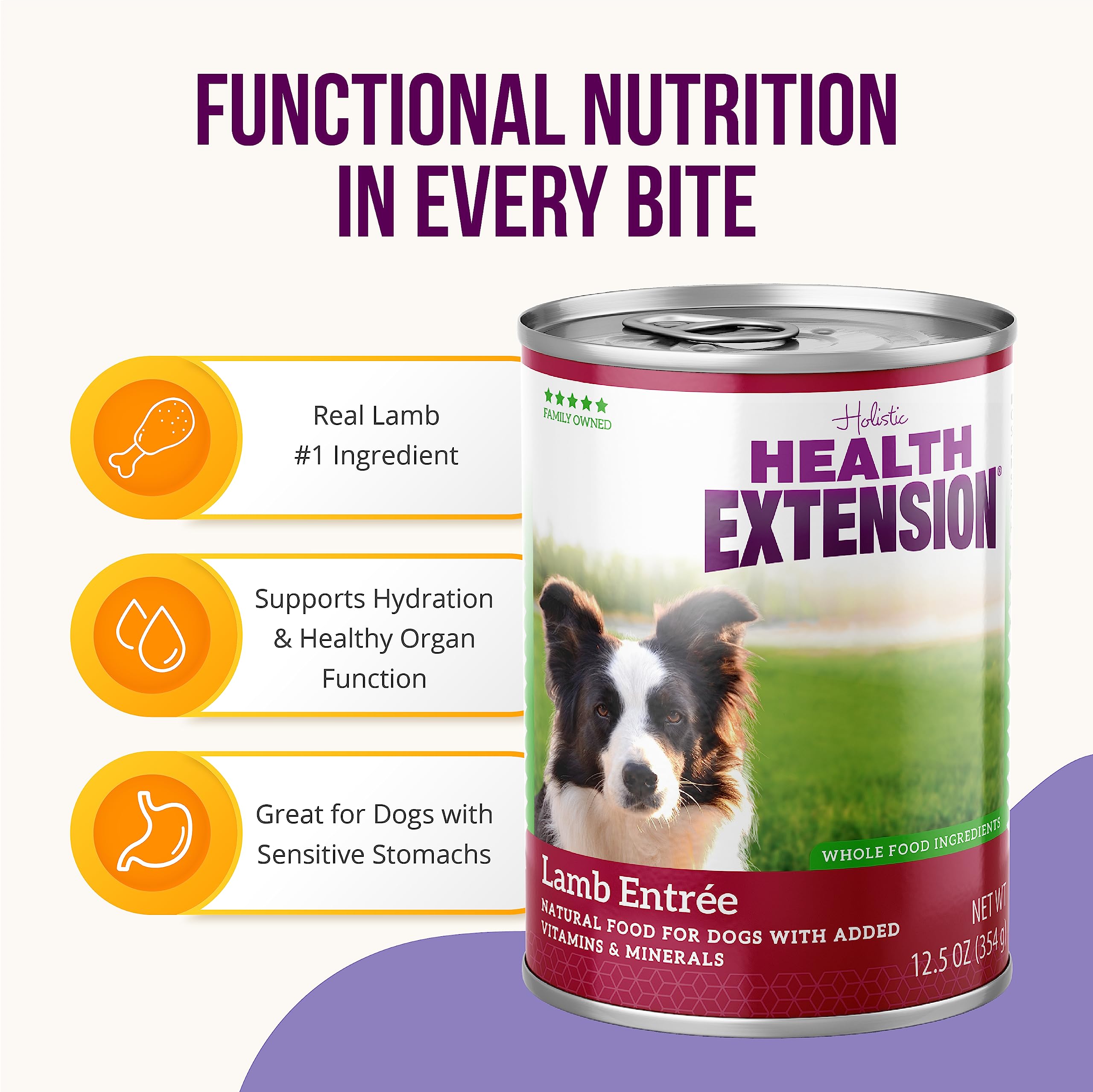 Health Extension Lamb Entrée Canned Dog Food - 12.5 Oz - Case of 12  