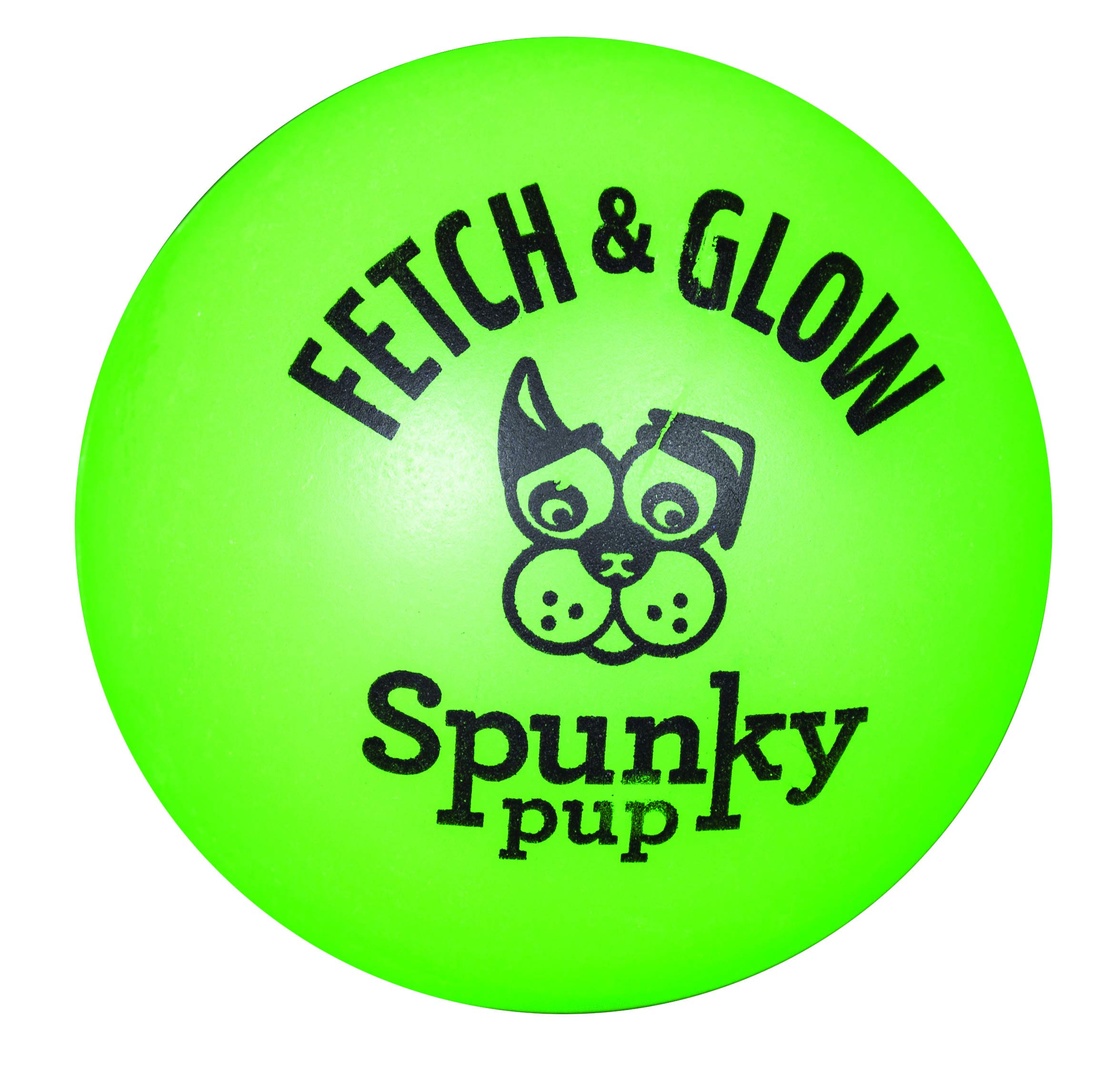 Spunky Pup Fetch and Glow-in-the-Dark Ball Float and Fetch Dog Toy - Medium  