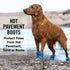 Canada Pooch Hot Pavement Breathable Dog Boots