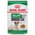 Royal Canin Size Health Nutrition Chunks in Gravy Small-Breed Aging Adult Senior 12+ Wet Dog Food Pouch - 3 Oz - Case of 12  