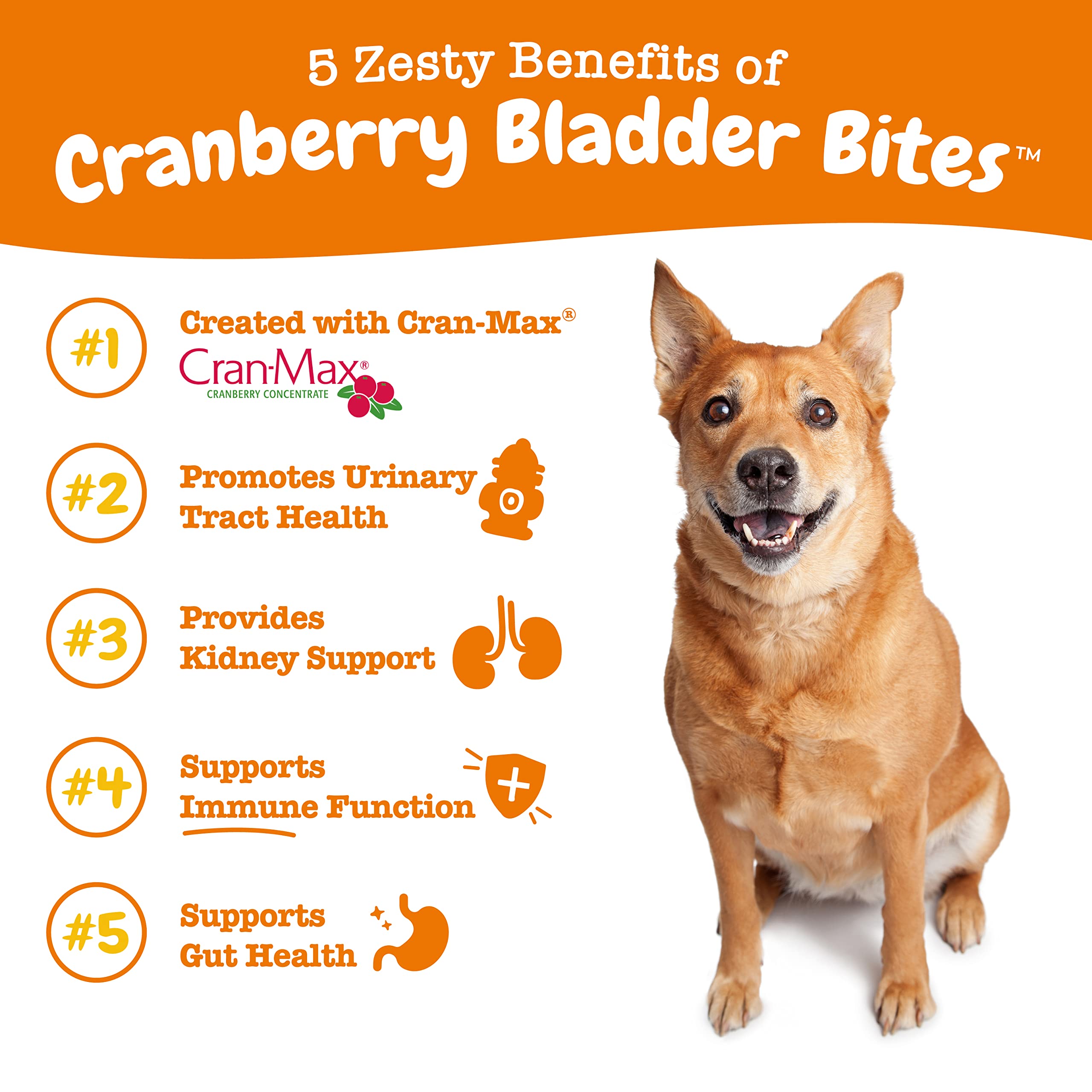 Zesty Paws Cranberry Bladder Bites Antioxidant Bacon Flavor Soft Chew Dog Supplements - 90 Count  