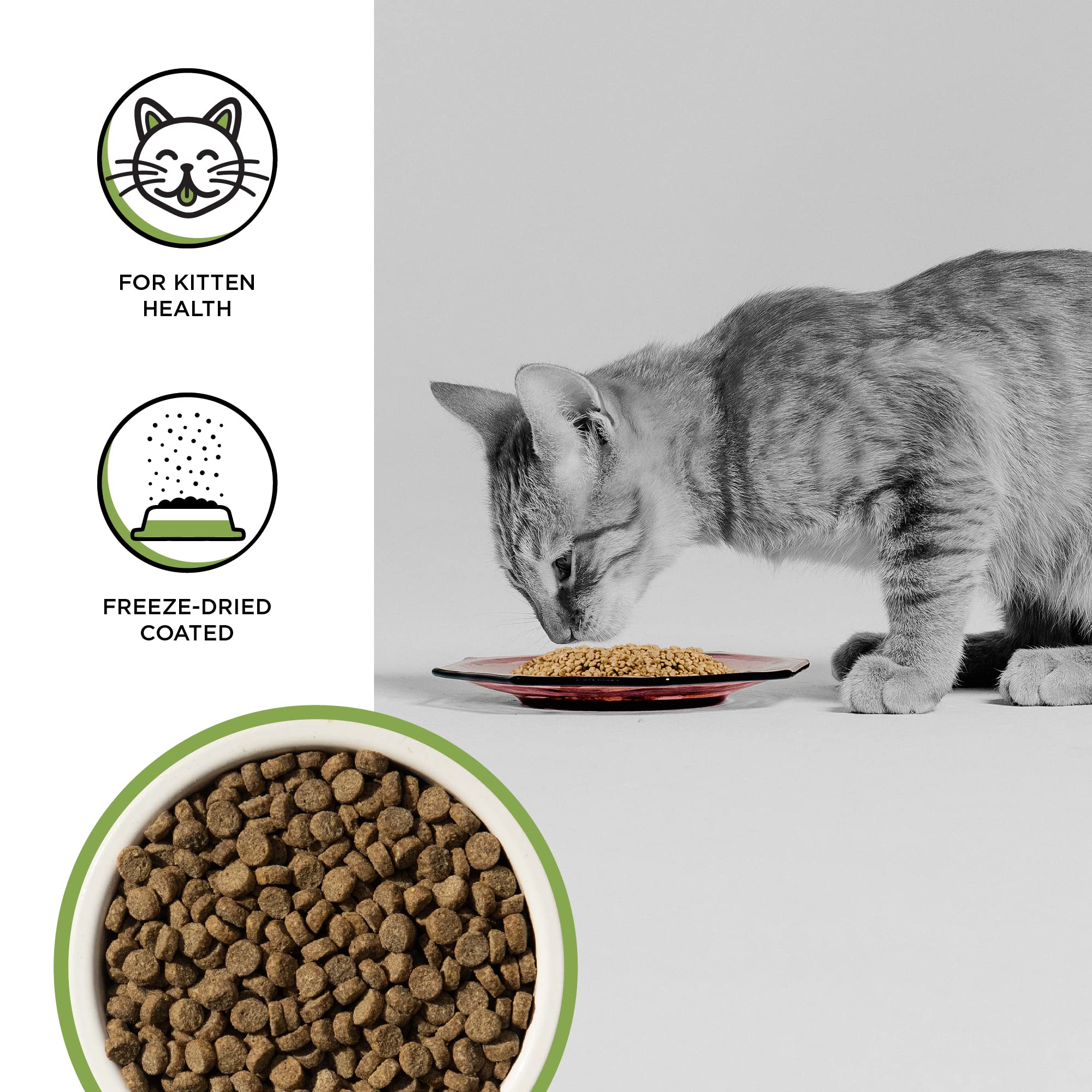 Bixbi Rawbble Chicken Recipe Kitten Dry Cat Food - 2.75 Lbs  