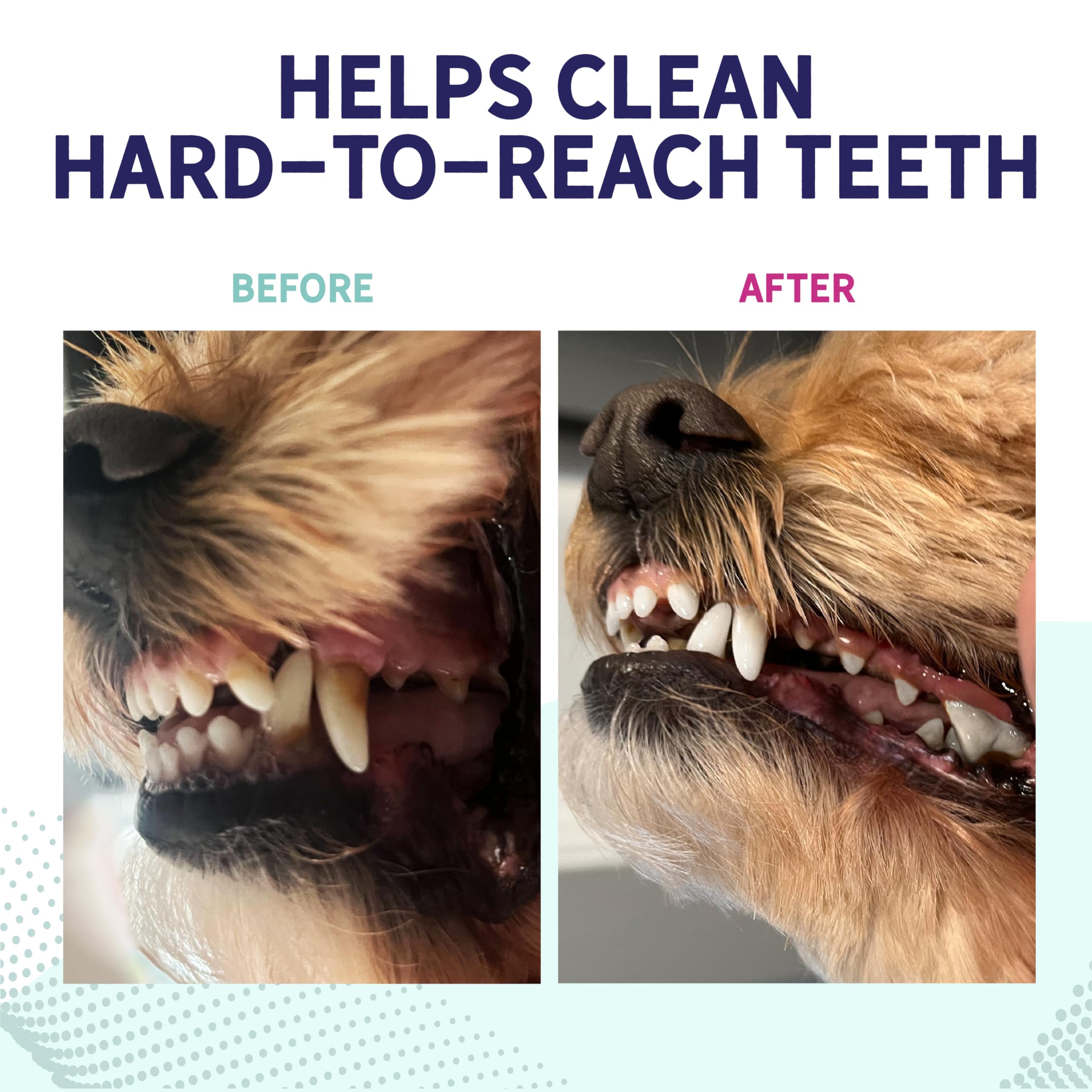 Health Extension Probiotic Bone-Shaped Dental Dog Chews - Small - 14 Pack  