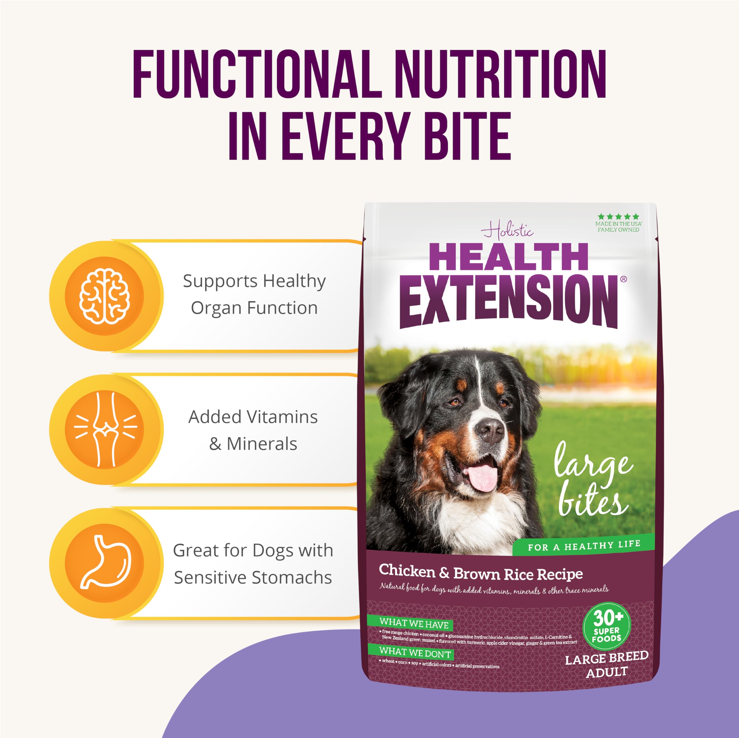 Health Extension Large Bites Chicken and Brown Rice Large and Giant Breed Dry Dog Food - 15 Lbs  