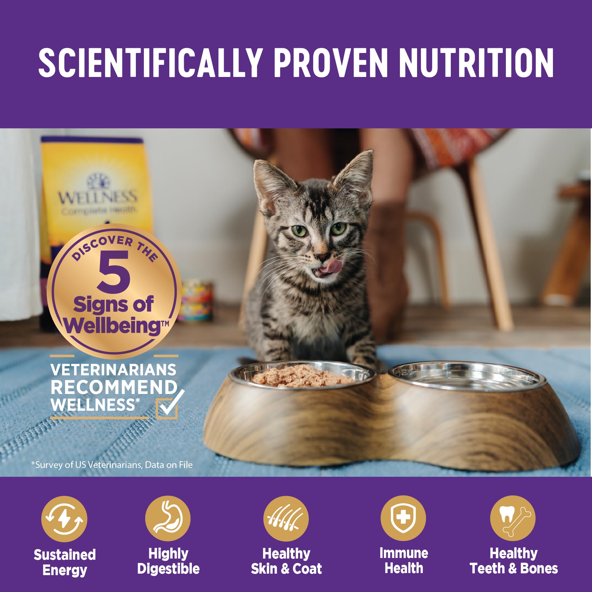 Wellness Complete Health Age Advantage Grain-Free Chicken Entrée Adult Canned Cat Food - 3 Oz - Case of 24  