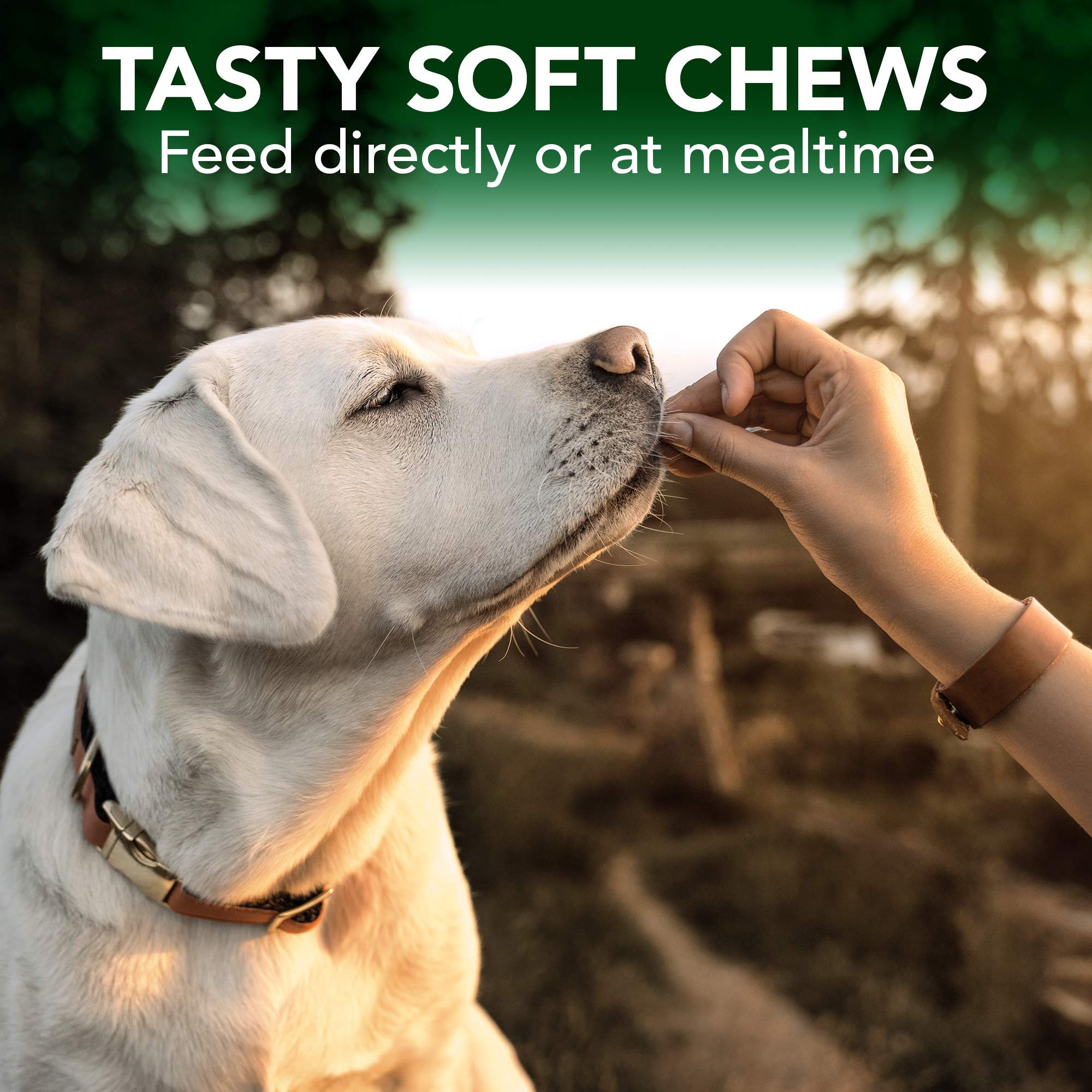 Vet's Best Allergy Seasonal Allergies Soft Chew Dog Supplements - 4.2 Oz - 30 Count  