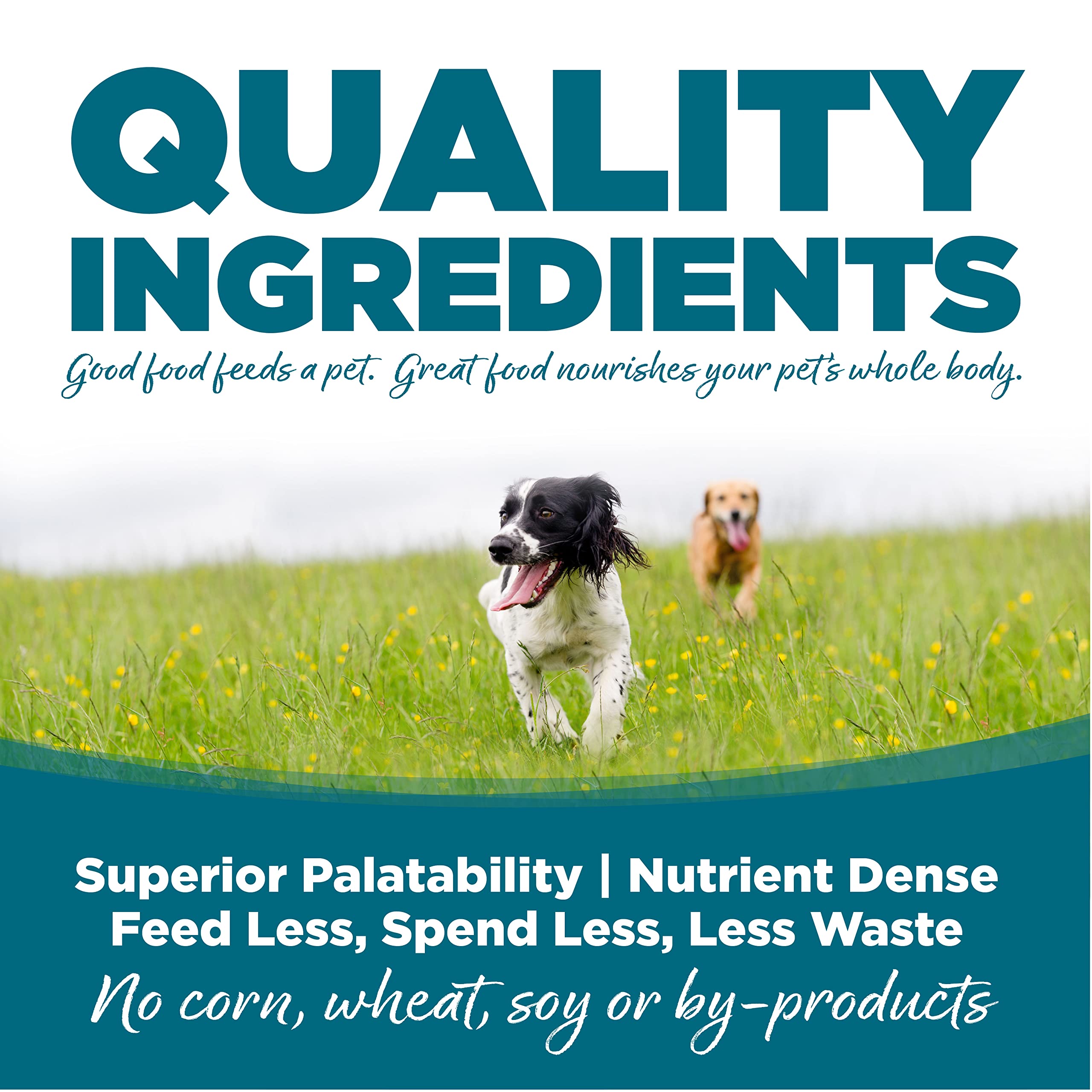 Nutrisource Chicken and Brown Rice Recipe Large-Breed Dry Dog Food - 26 Lbs  