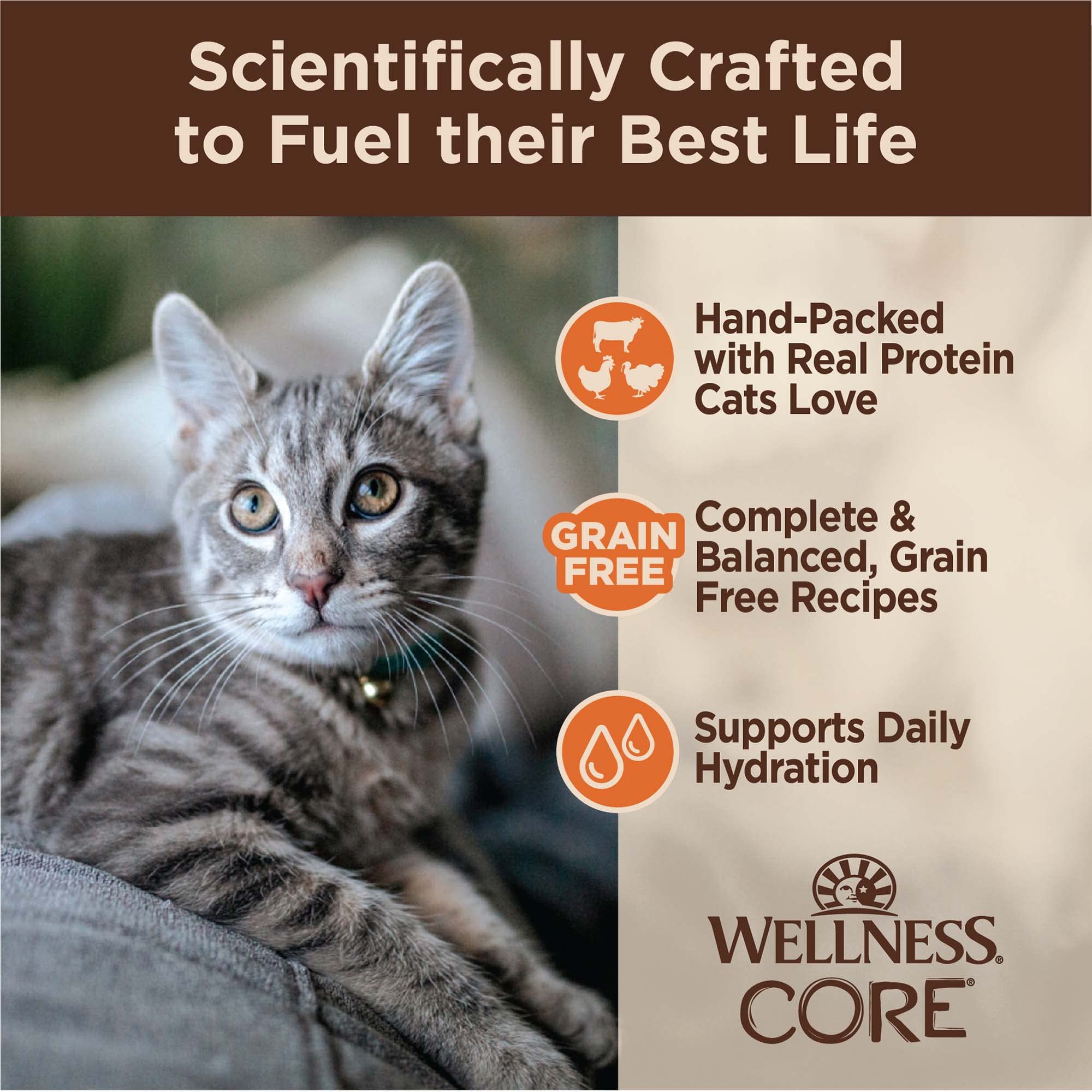 Wellness Grain-Free Shredded Poultry Selection Chicken Turkey and Beef Canned Cat Food - Variety Pack - 5.3 Oz - Case of 12 - 2 Pack  