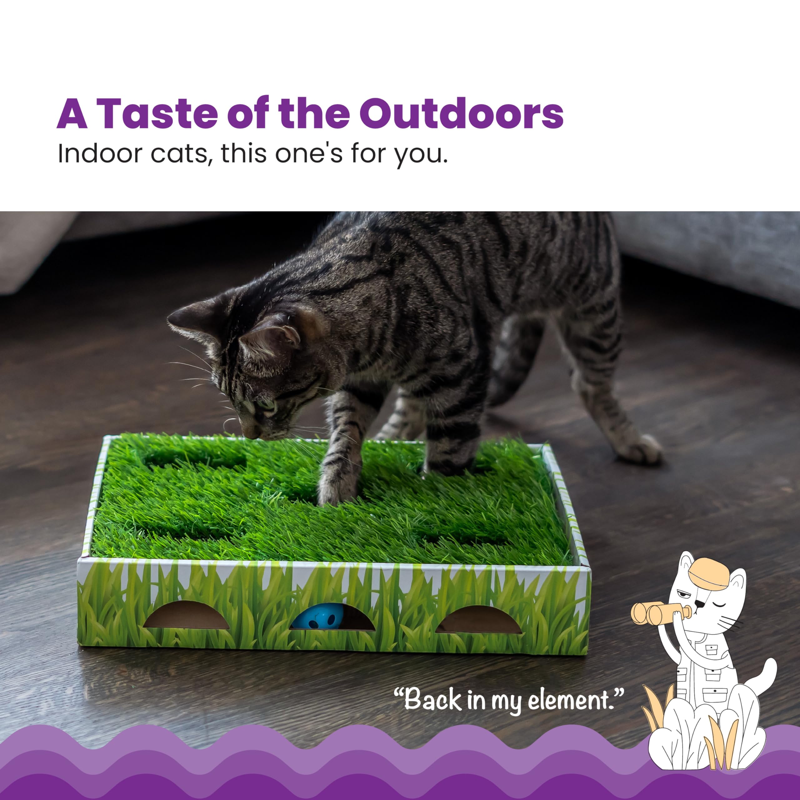 Petstages Grass Patch Hunting Box Interactive Puzzle Cat Toy and Scratcher  