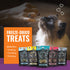 Vital Essential's Grain-Free Salmon Bites Freeze-Dried Crunchy Dog Treats - 2.5 Oz  