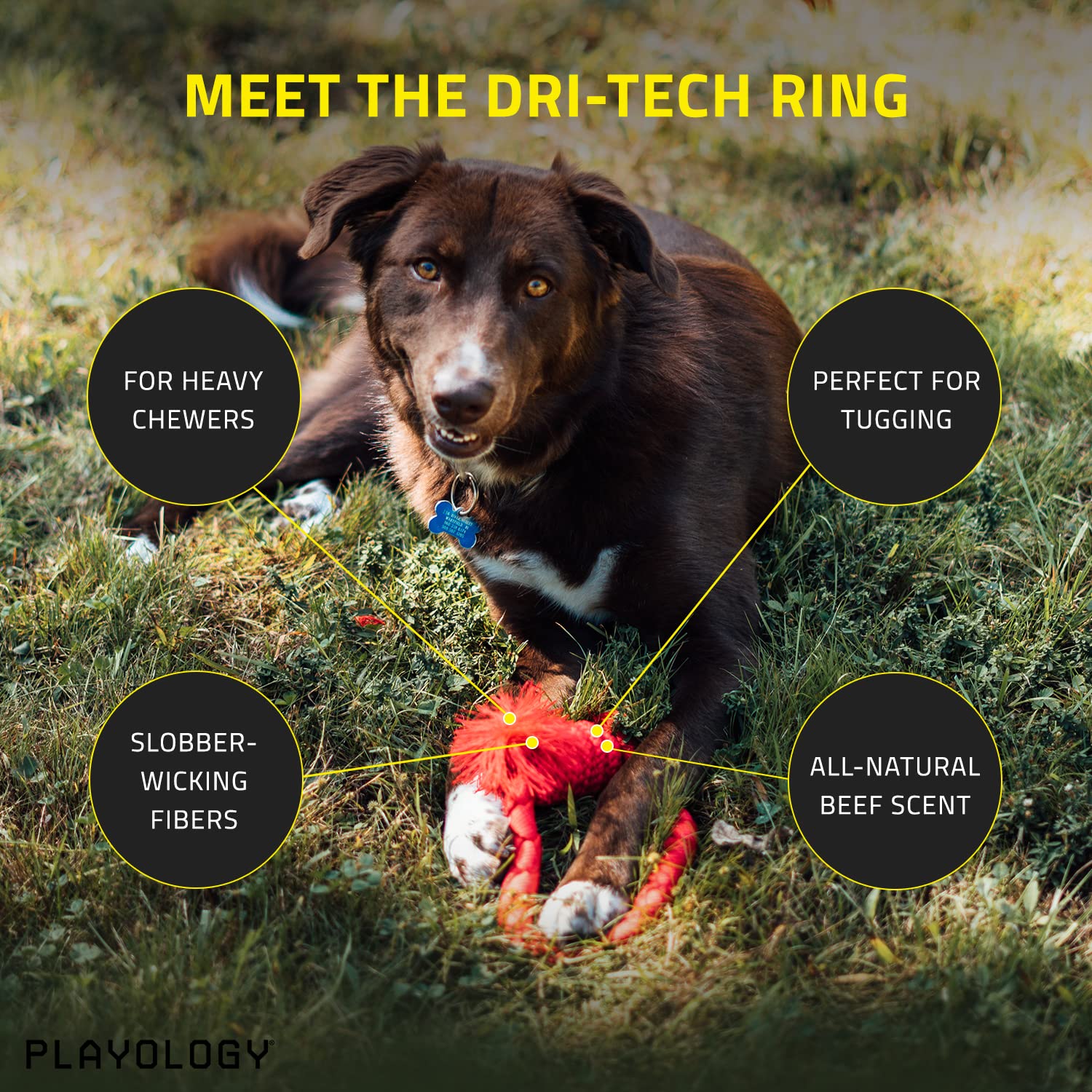 Playology Beef Scented Dri-Tech Ring Dog Toy with Encapsiscent Technology - Red - Large  