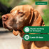 Elanco Advantage II Large Dog 6-Month Dose Flea and Tick Spot-on Treatment - 21-55 Lbs - Red - 6 Pack
