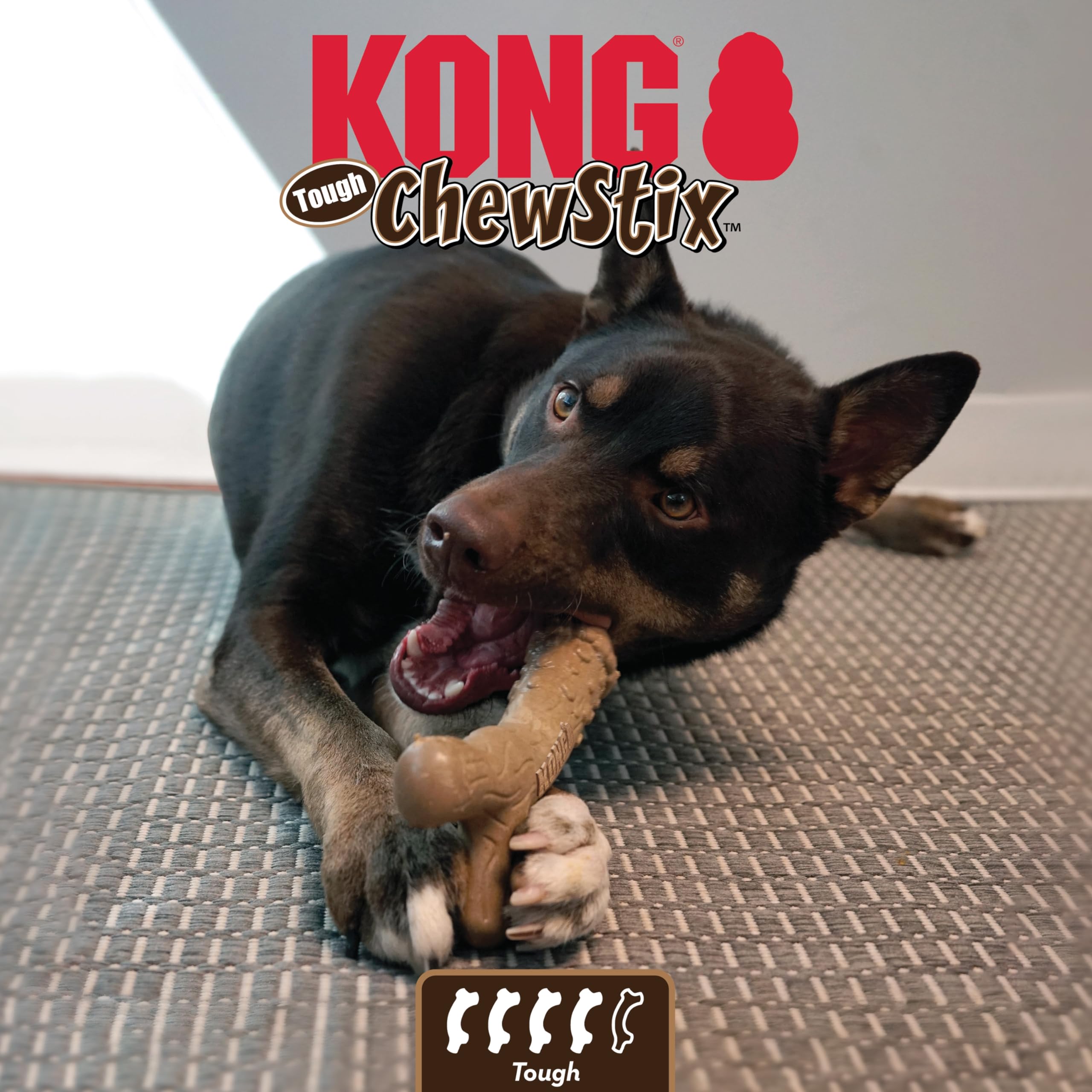 Kong ChewStix Tough Femur Real Wood Bone Dog Toy - Large  