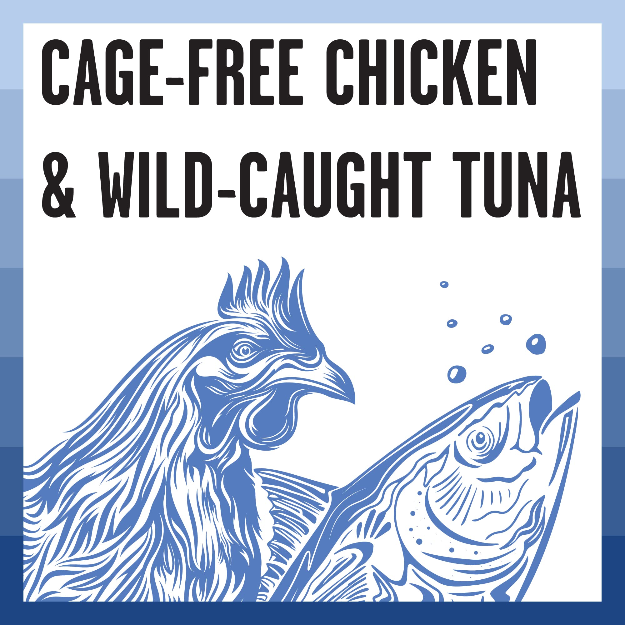 Bixbi Shredded Chicken and Tuna Canned Cat Food - 5 Oz - Case of 24  