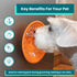 Innovative Pet Lickimat Splash Suction Cup Slow Feeding Bowl for Cats and Dogs - Turquise  