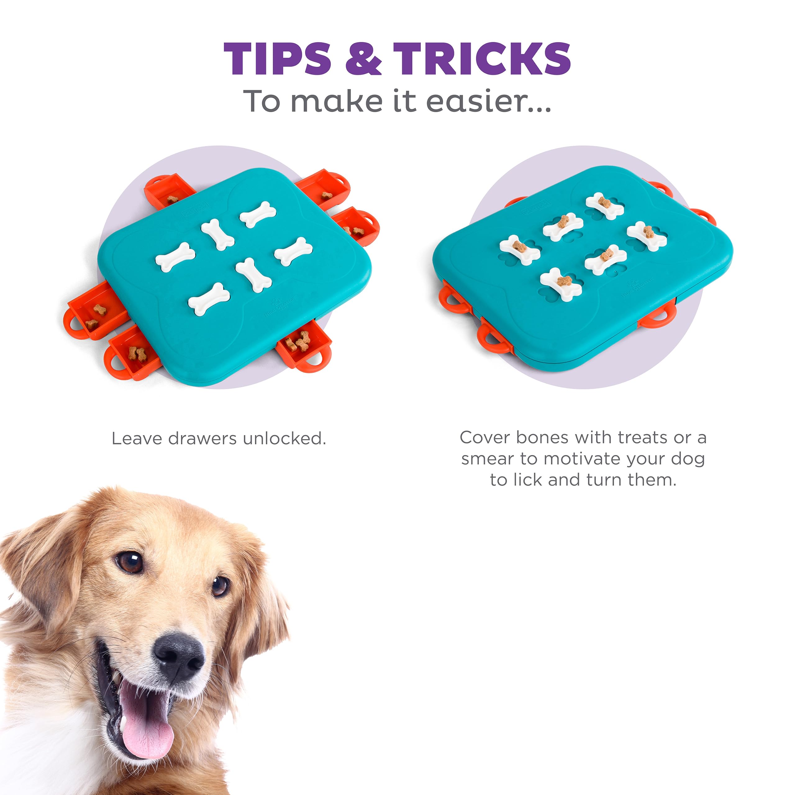 Outward Hound Casino Interactive Treat Rewarding Puzzle Solving Dog Toy and Feeder  