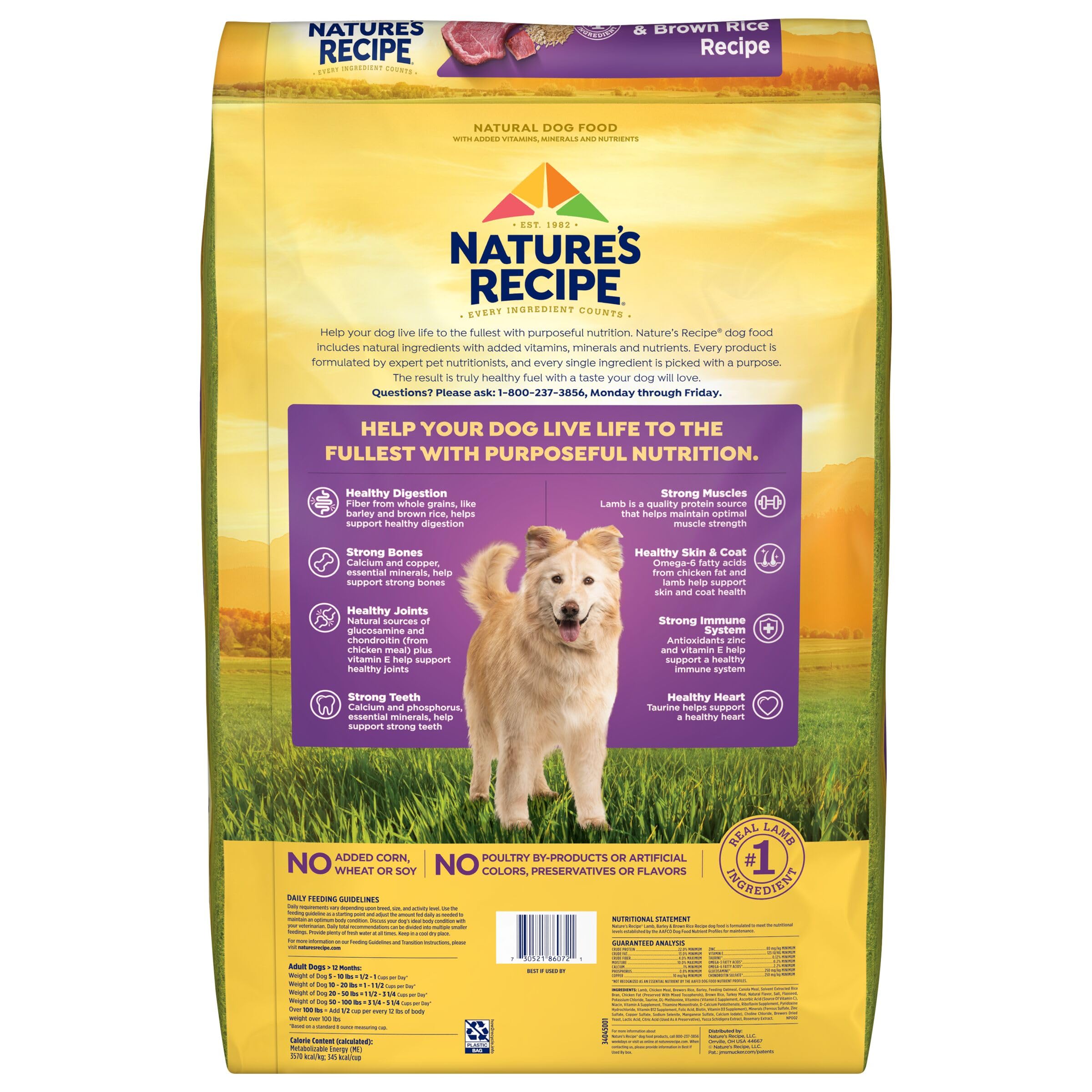 Nature's Recipe Lamb Barley and Brown Rice Recipe Adult Dry Dog Food - 4 Lbs - Case of 4  