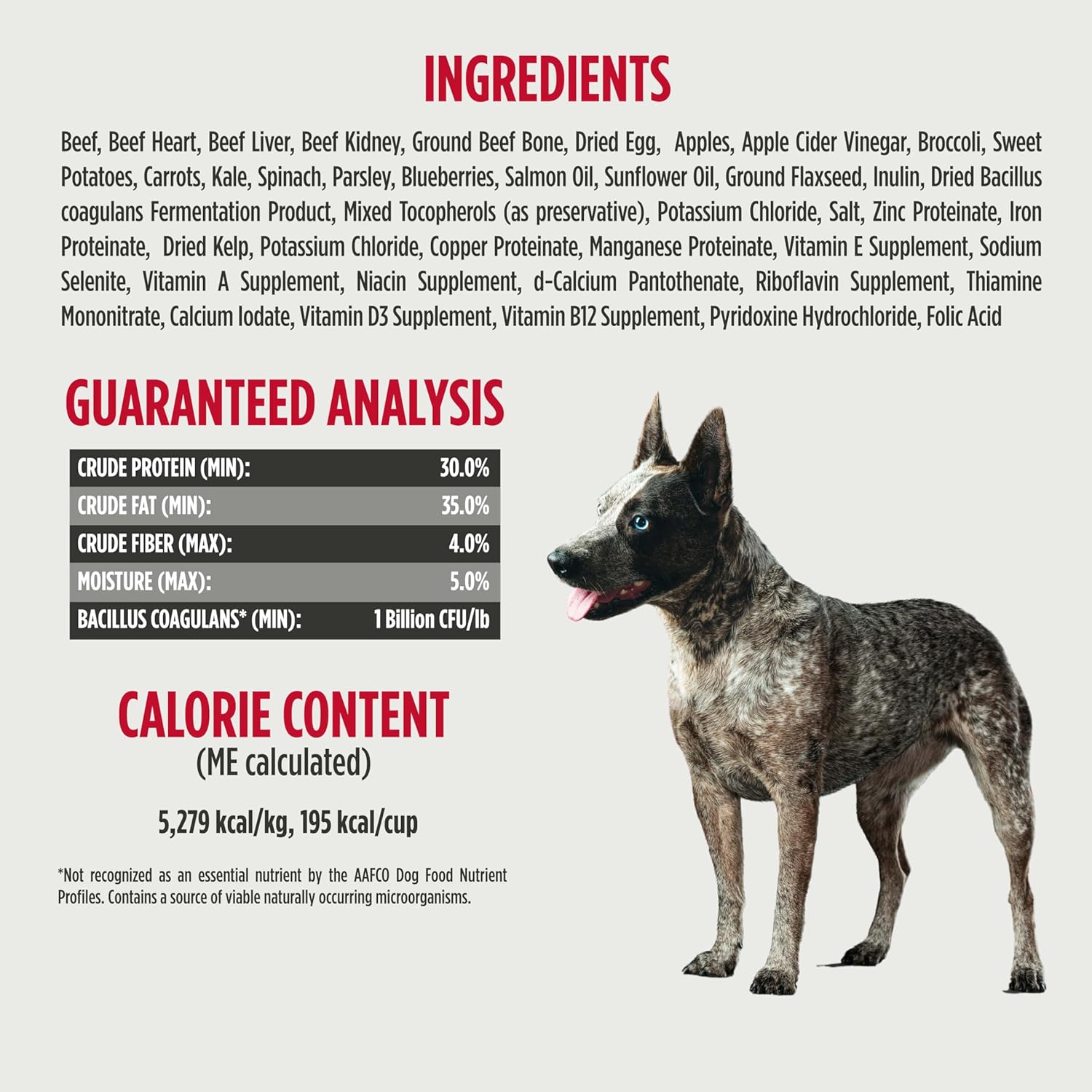 Nulo Grain-Free Freeze-Dried Raw Beef Recipe with Apples Complete and Balanced Dry Dog Food