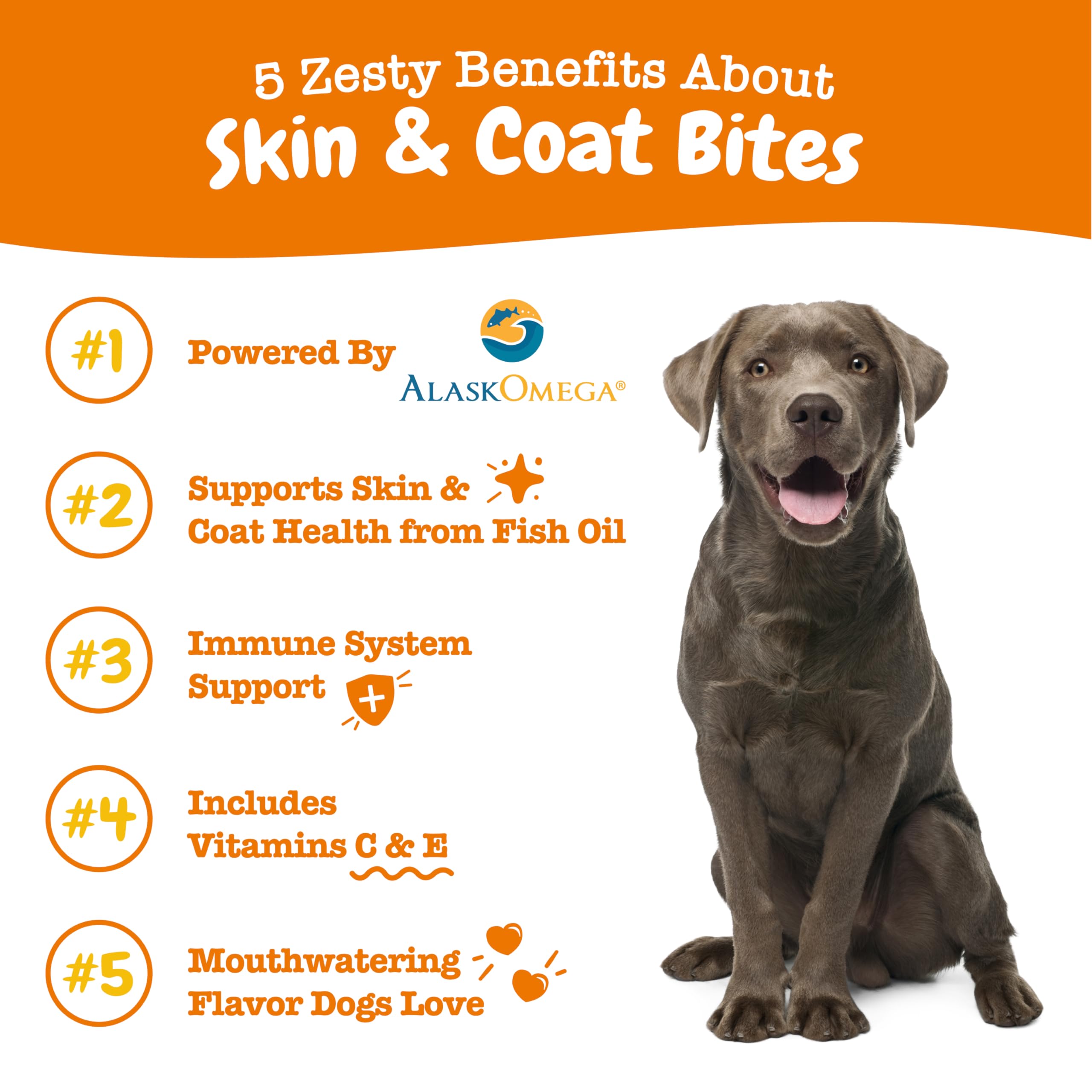 Zesty Paws All-in-1 Everyday Health Training Bites Bacon Flavor Omega-3 Soft and Chewy Dog Treats - 8 Oz  