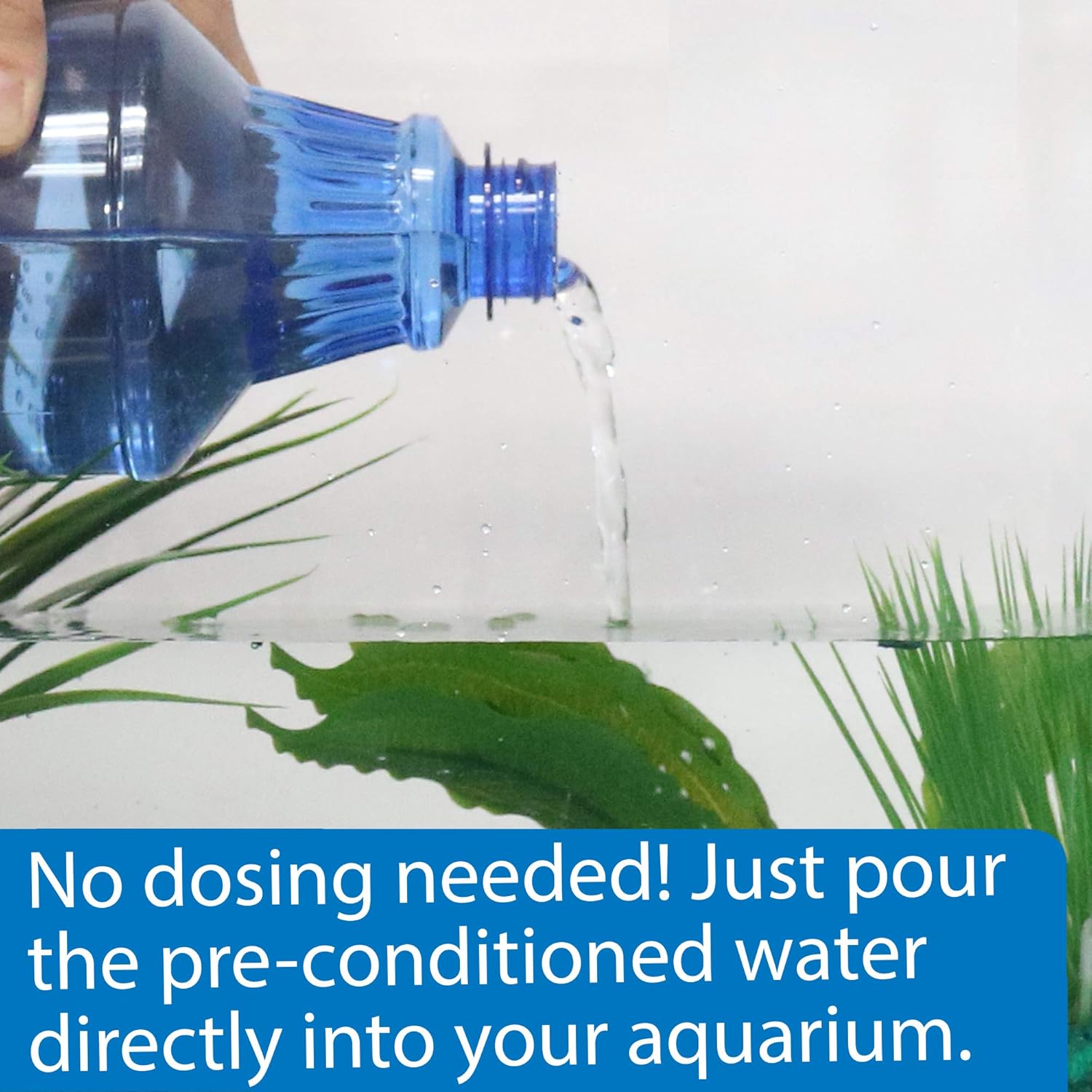API Betta Water Pre-Conditioned Freshwater Water Treatment  - 64 Oz