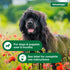 Elanco Advantage Flea and Tick Dog Spray for Adults and Puppies over 6 Months