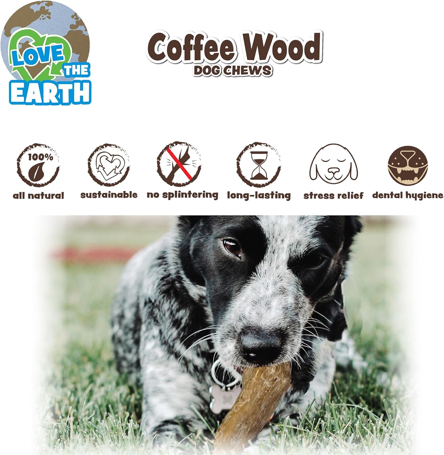 Ethical SPOT Love The Earth 100% Natural Coffee Wood Chew Dog Toy - Large
