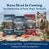 Blue Buffalo Wilderness Salmon Recipe Dry Dog Food - 4.5 Lbs  