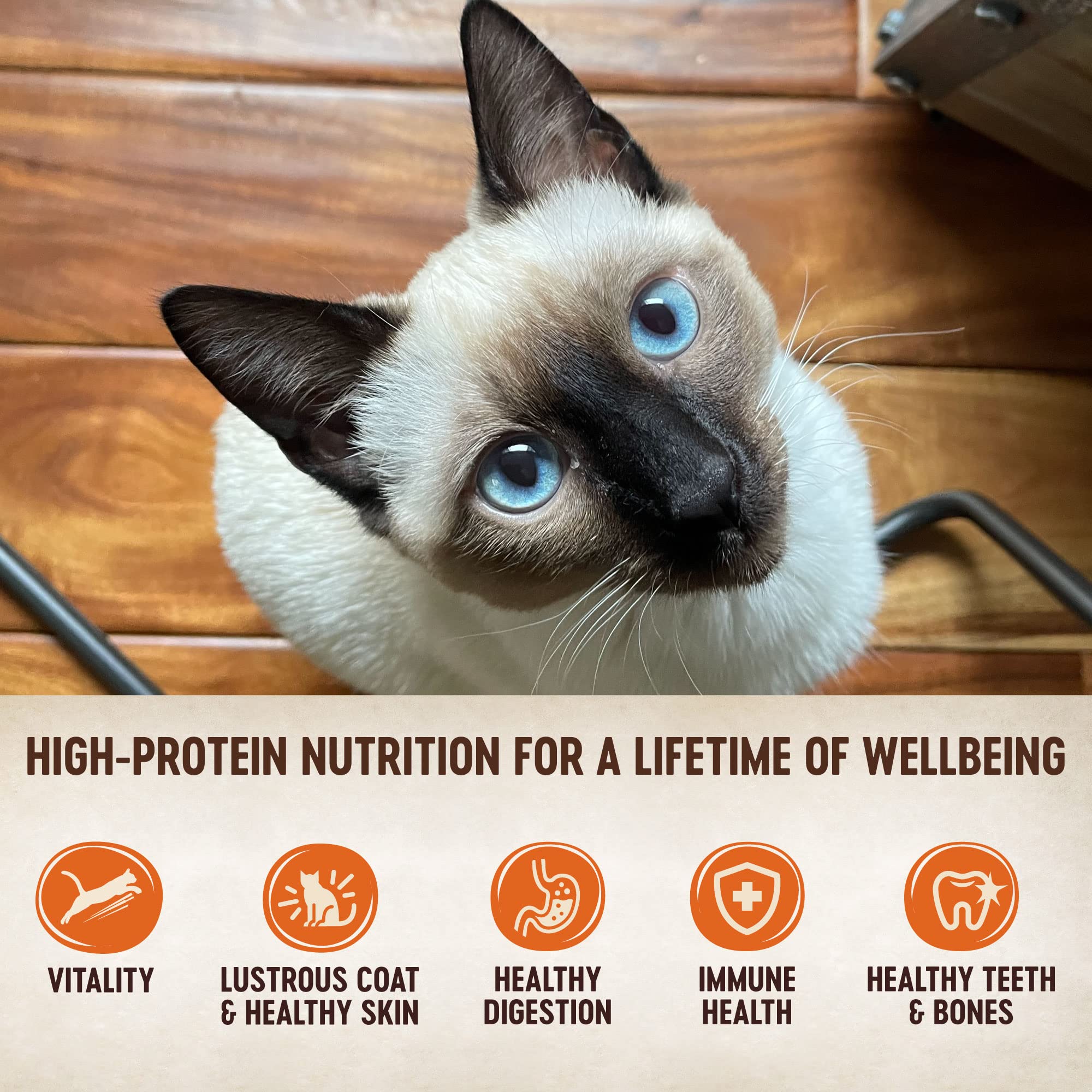 Wellness Core Tiny Tasters Grain-Free Chicken Smooth Pate Wet Cat Food Pouch - 1.75 Oz - Case of 12  